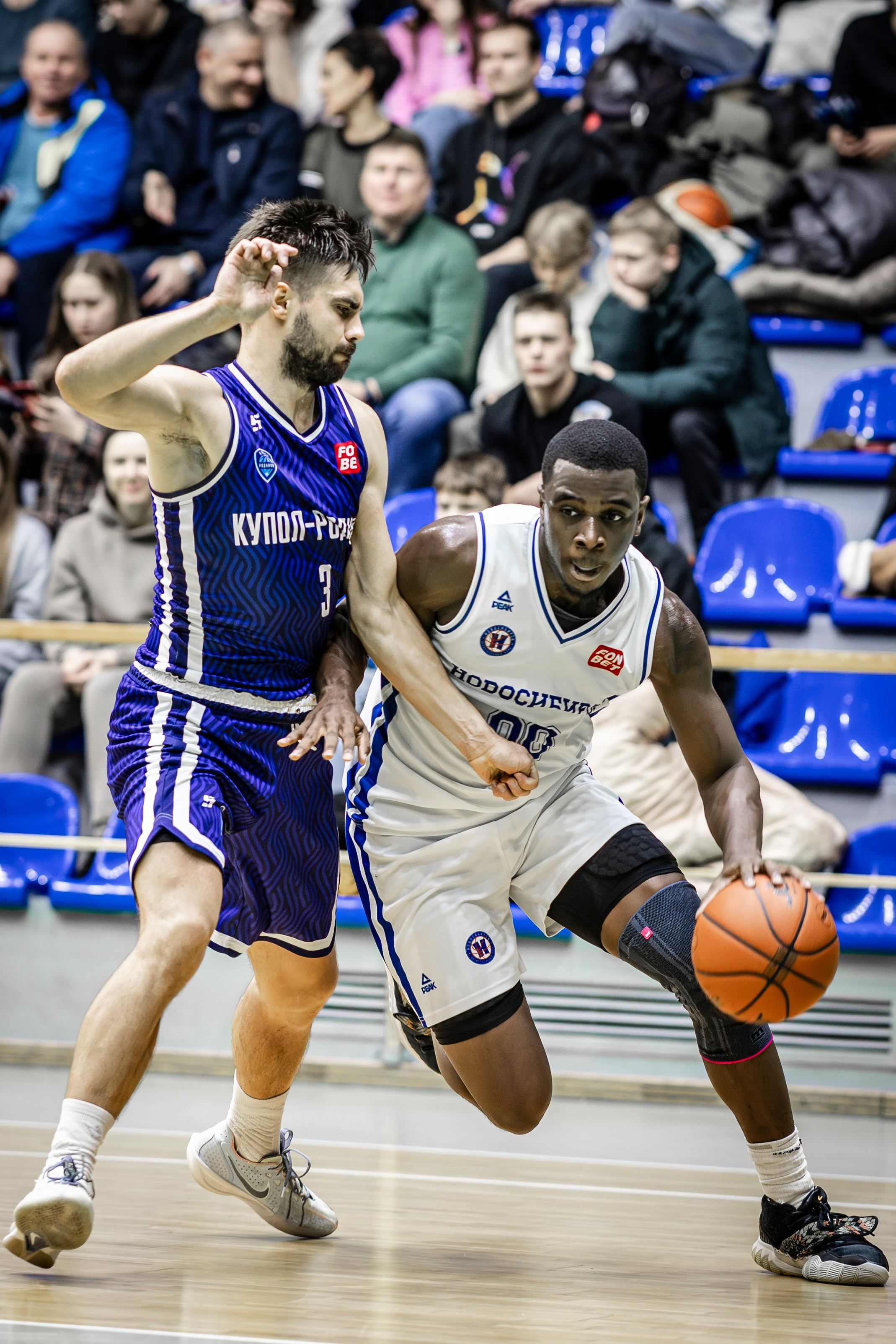 БК Новосибирск. Bertran Ordo