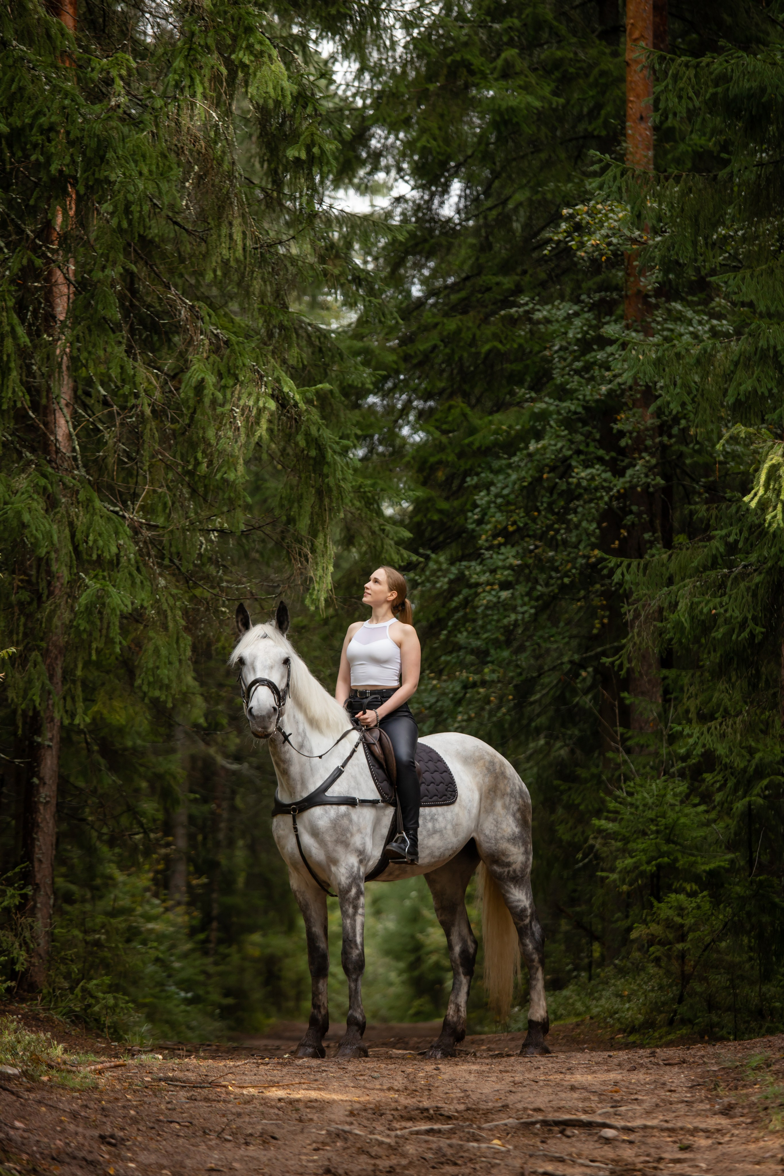 Фотопрогулки с Рич Бич. Конный фотограф в Санкт-Петербурге Анна Лебедева