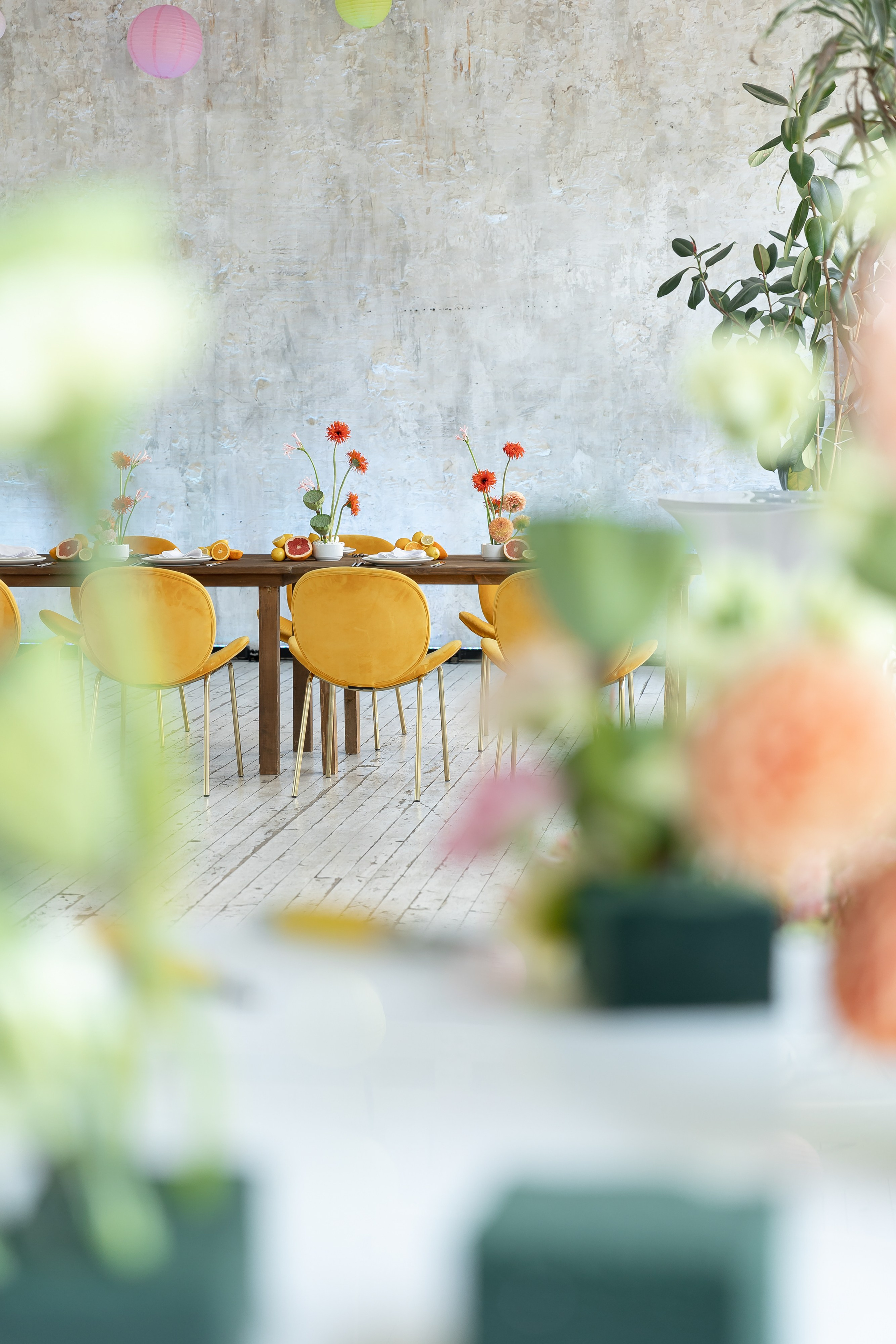 На топ 100 — второй вариант. Свадебный фотограф Колесников Антон