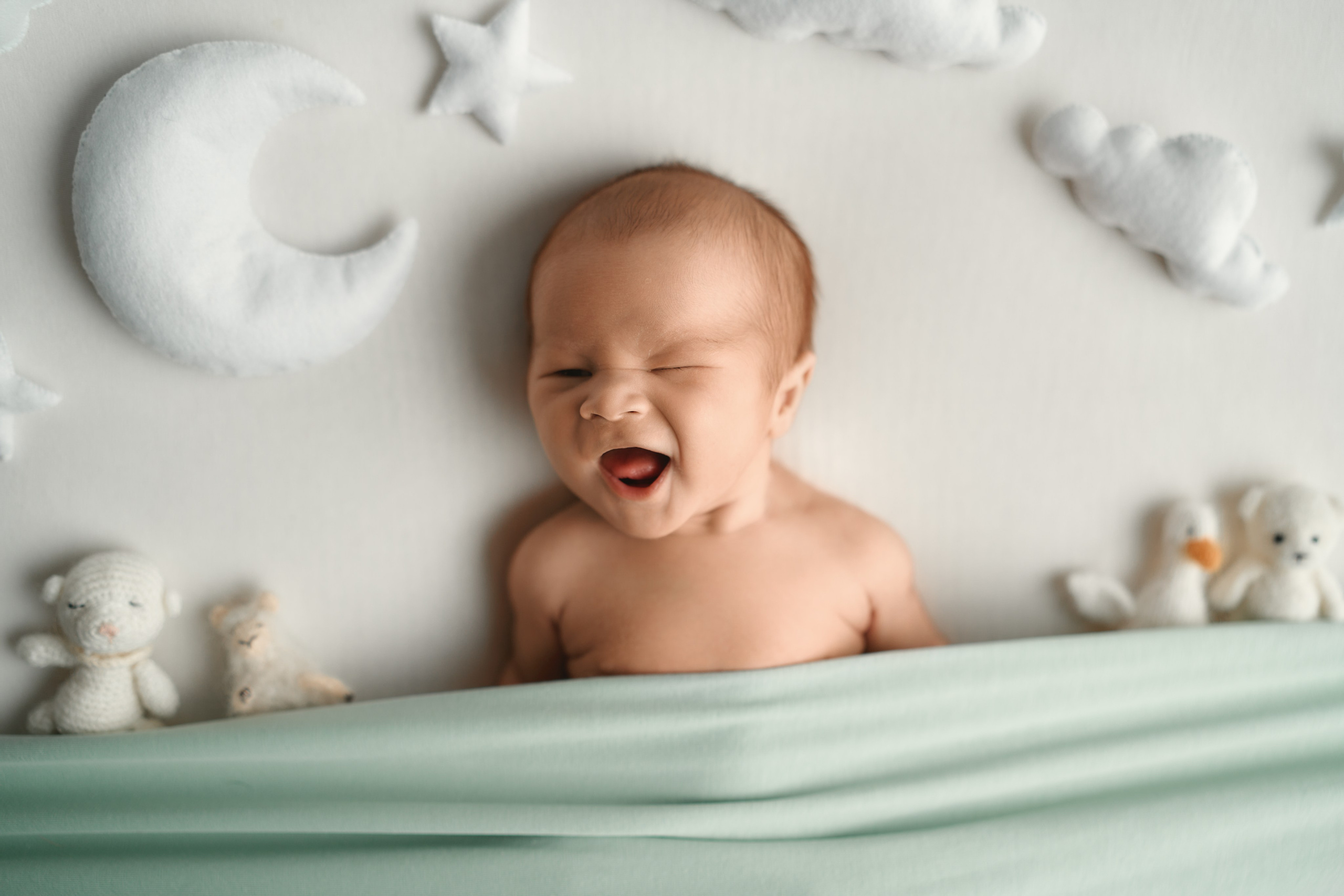 Захар. Фотограф новорожденных во Владивостоке Ромашко Виктория