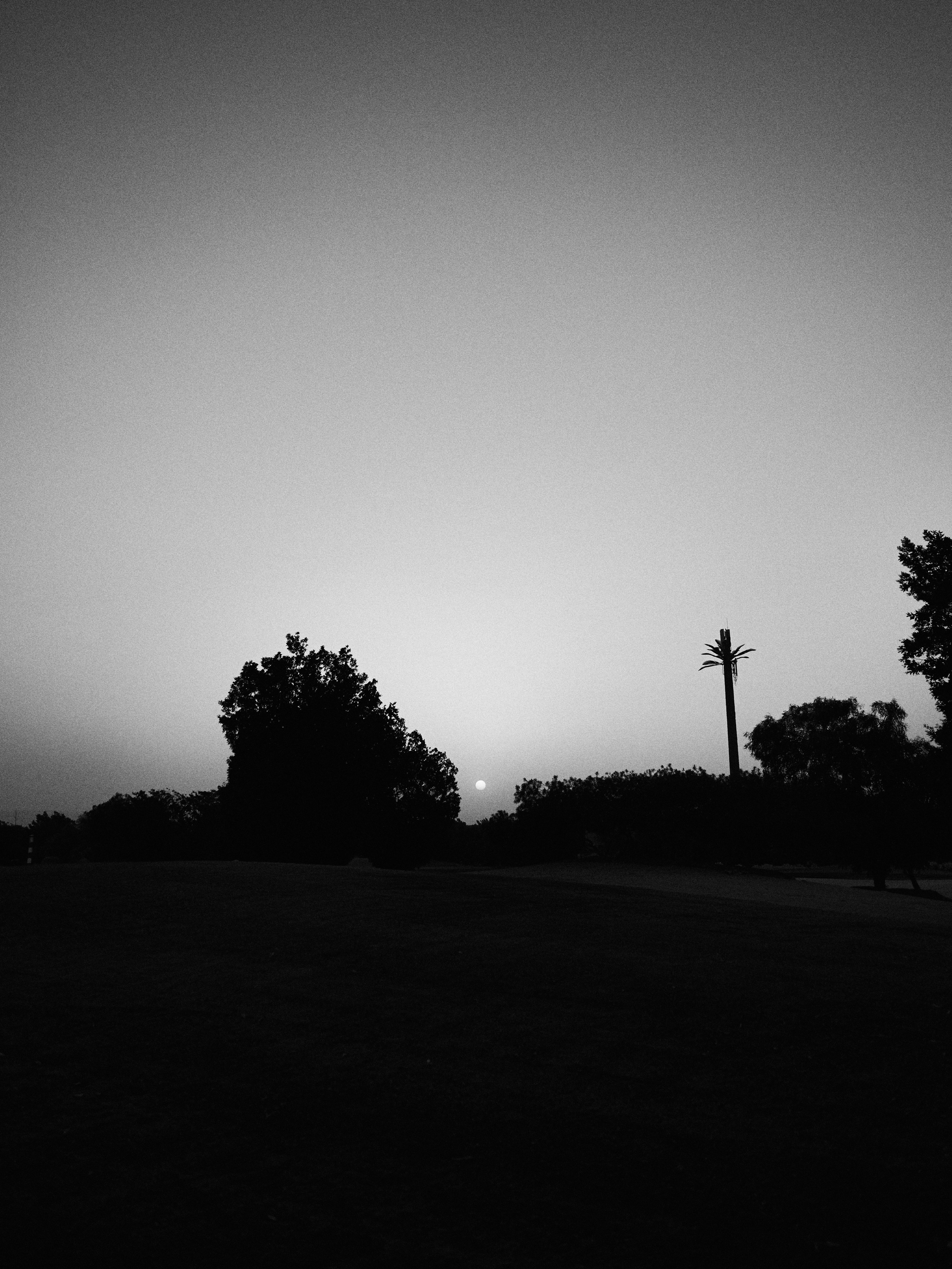 B&W. Jorgis — фотограф в Хургаде / обучение фотографии