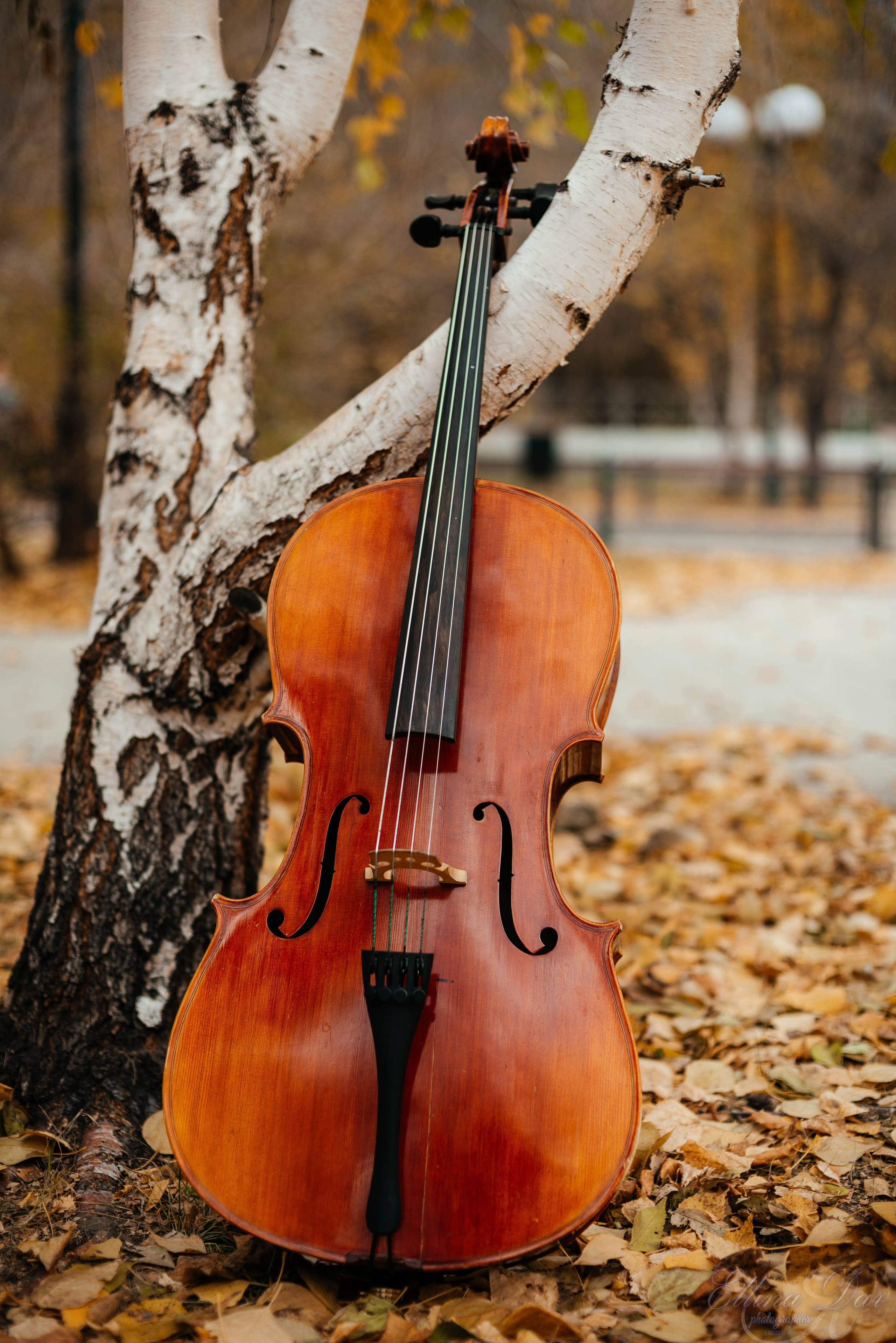 Аюмишка. Фотограф Эллина Дар г. Улан-Удэ