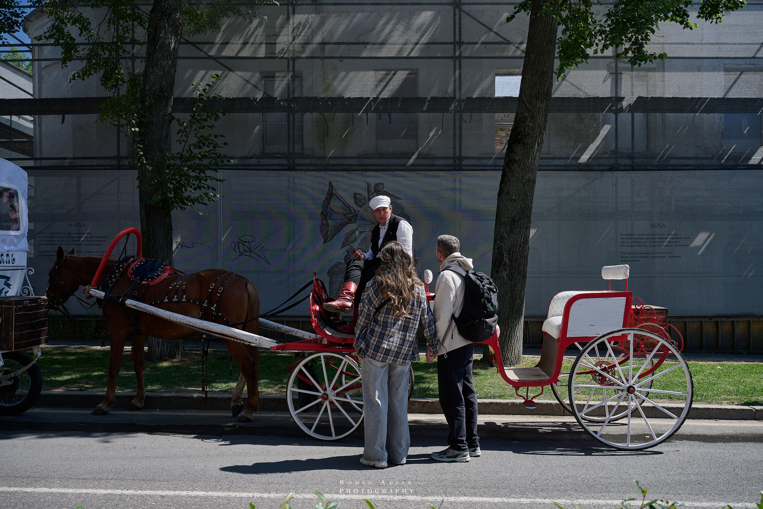Суздаль. Июнь 2025. Фотограф Роман Адлер