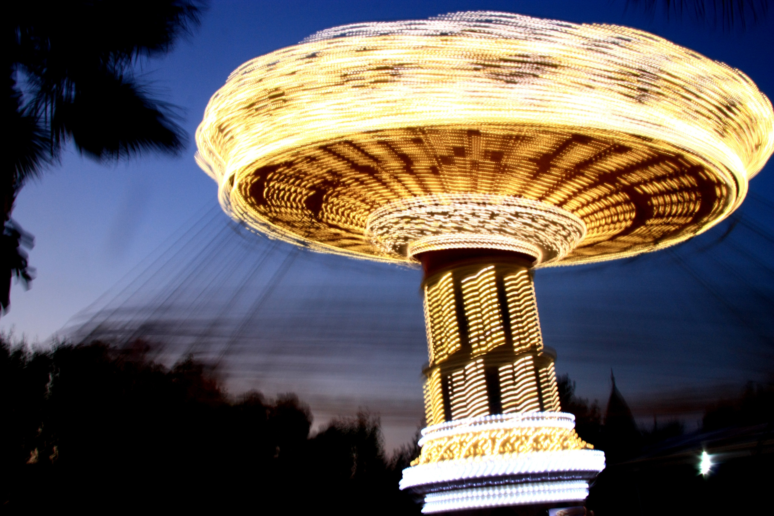 Первые кадры. Сочи — парк. Фотограф Роман Адлер