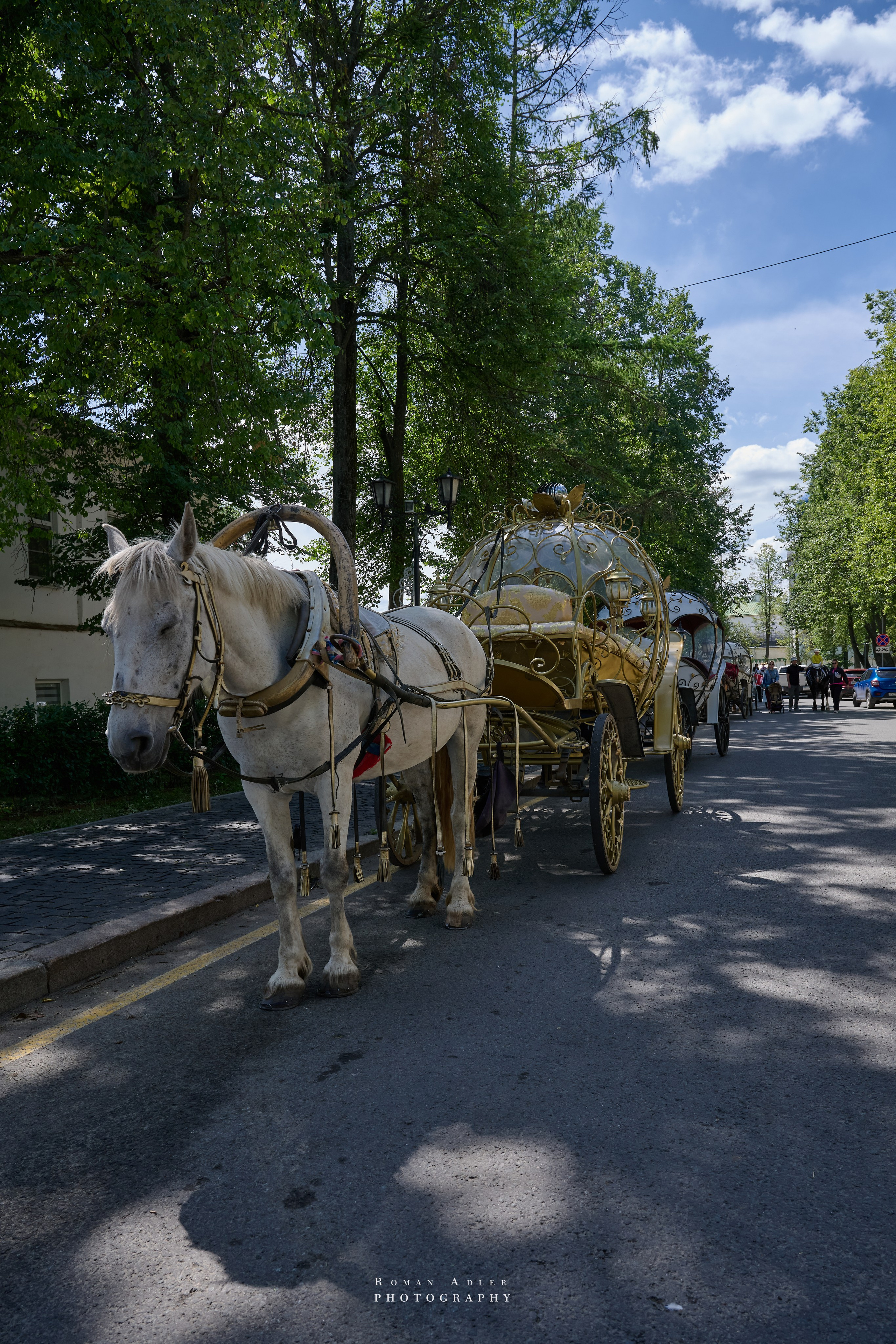 Суздаль. Июнь 2025. Фотограф Роман Адлер