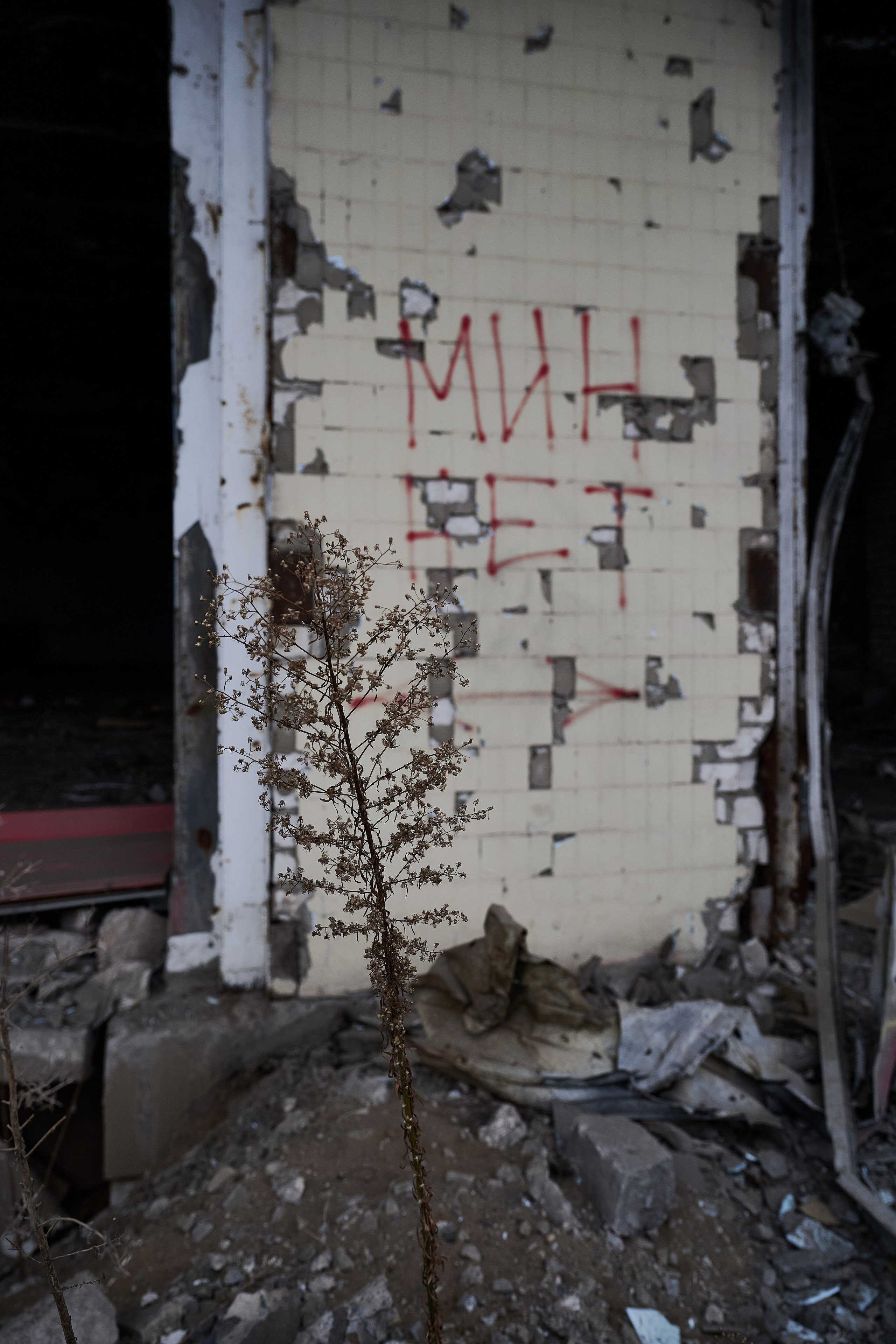 Северодонецк (Луганская область). Декабрь 2024. Фотограф Роман Адлер