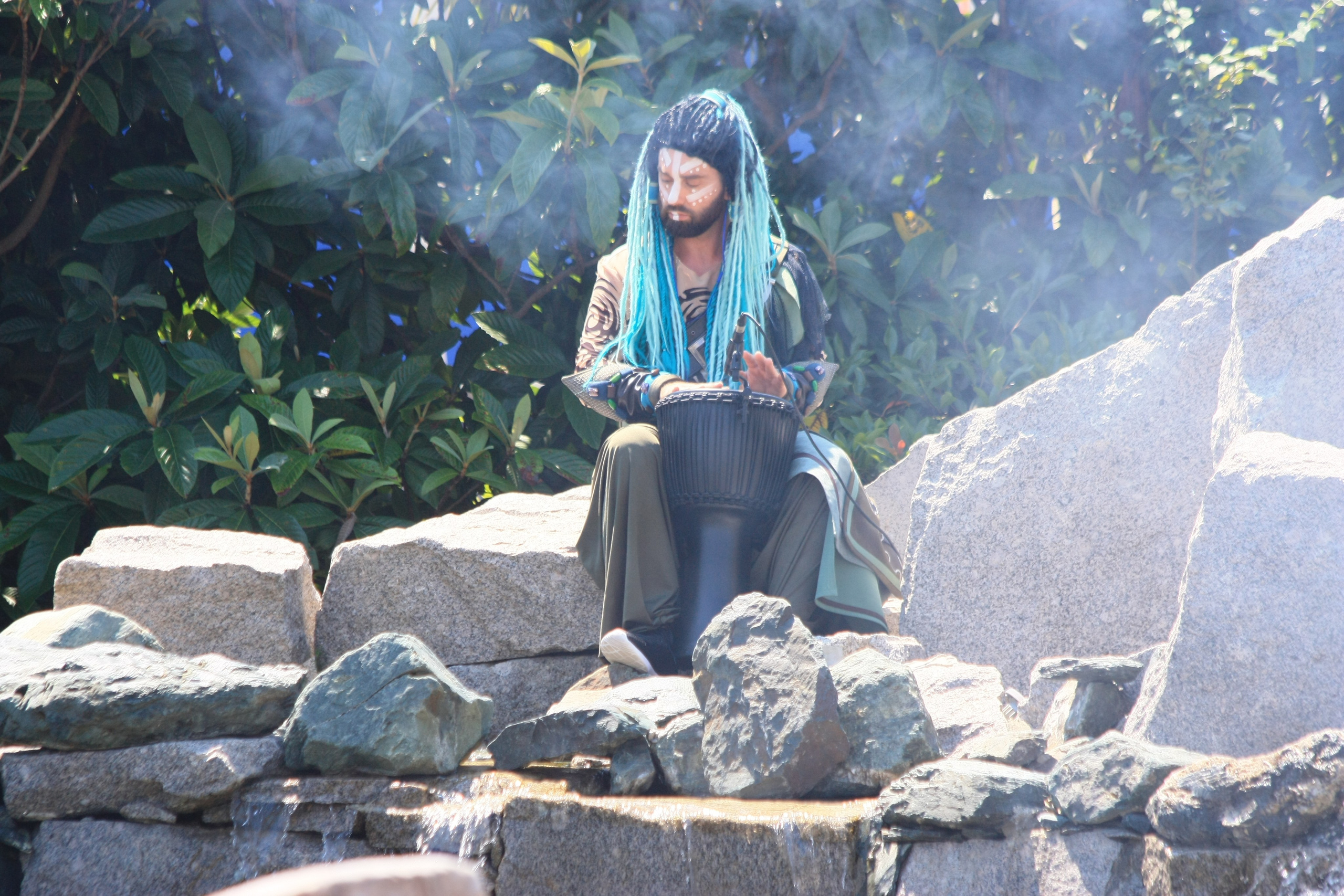 Первые кадры. Сочи — парк. Фотограф Роман Адлер