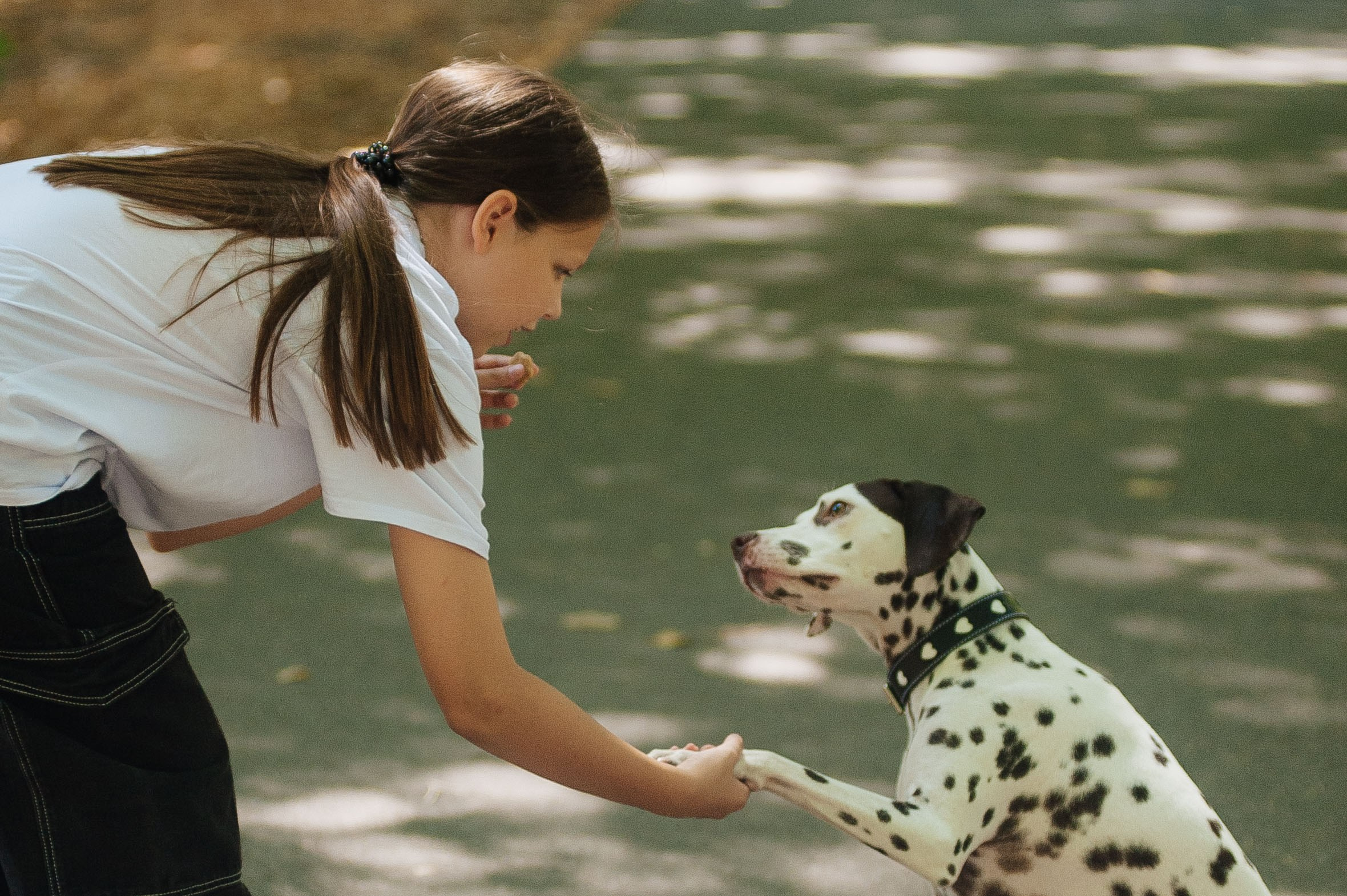 Семья Тимофеевых. Фотограф на Таинство Венчания и Крещения в Краснодаре Абрамова Людмила