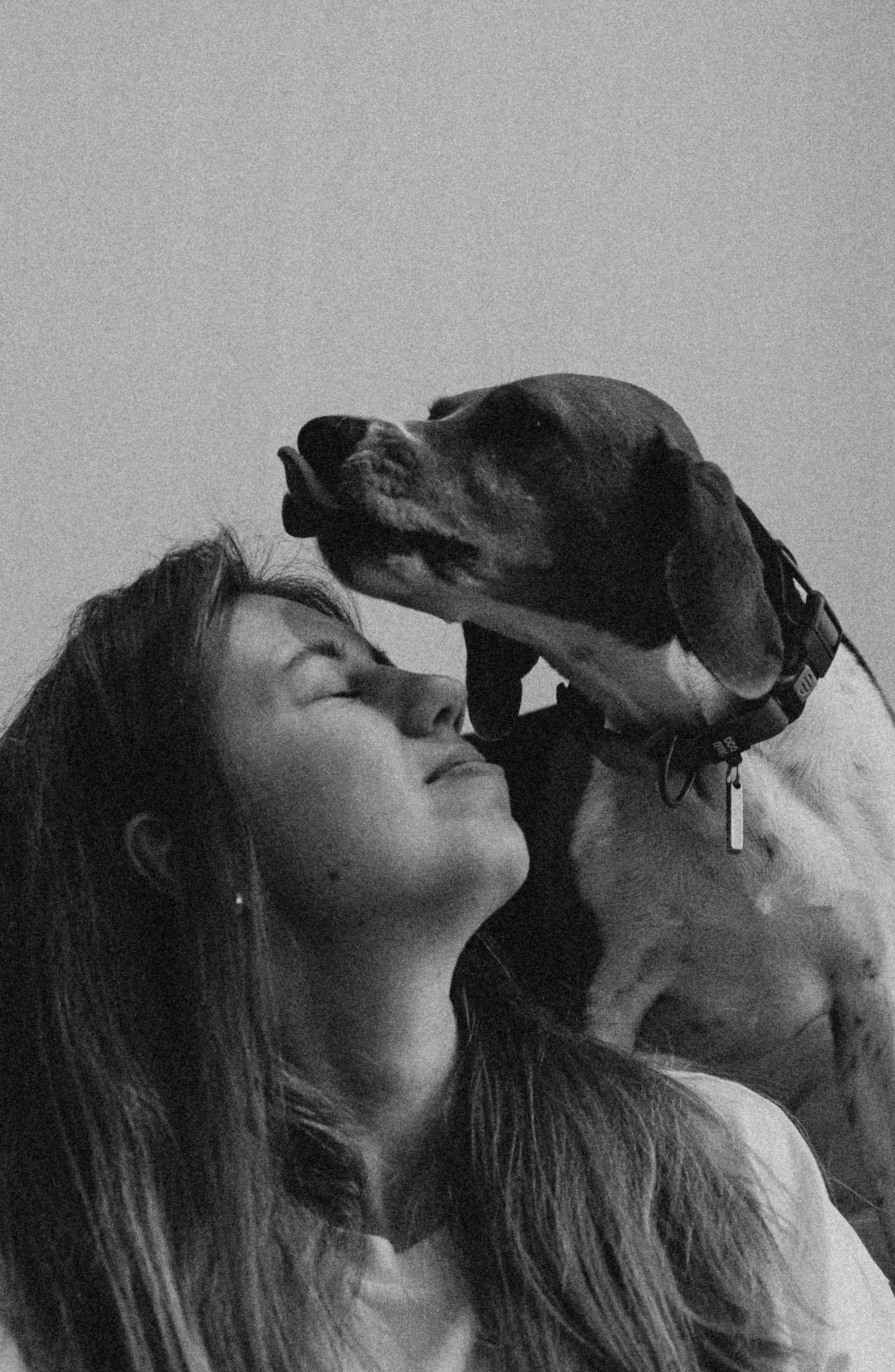 Света и Ива. Фотограф-анималист в Москве Лера Черноног