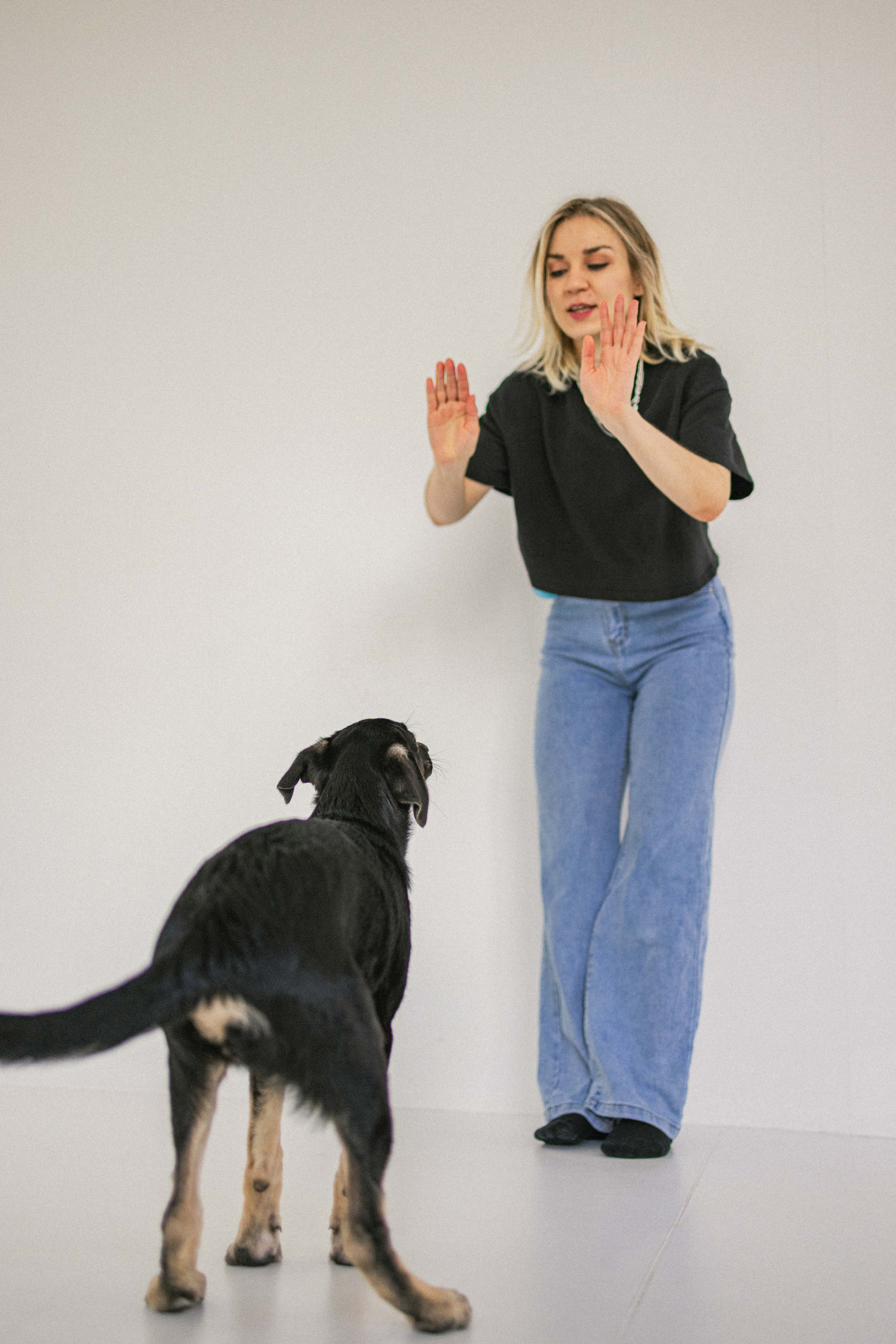 Крис и Тэдди. Фотограф-анималист в Москве Лера Черноног