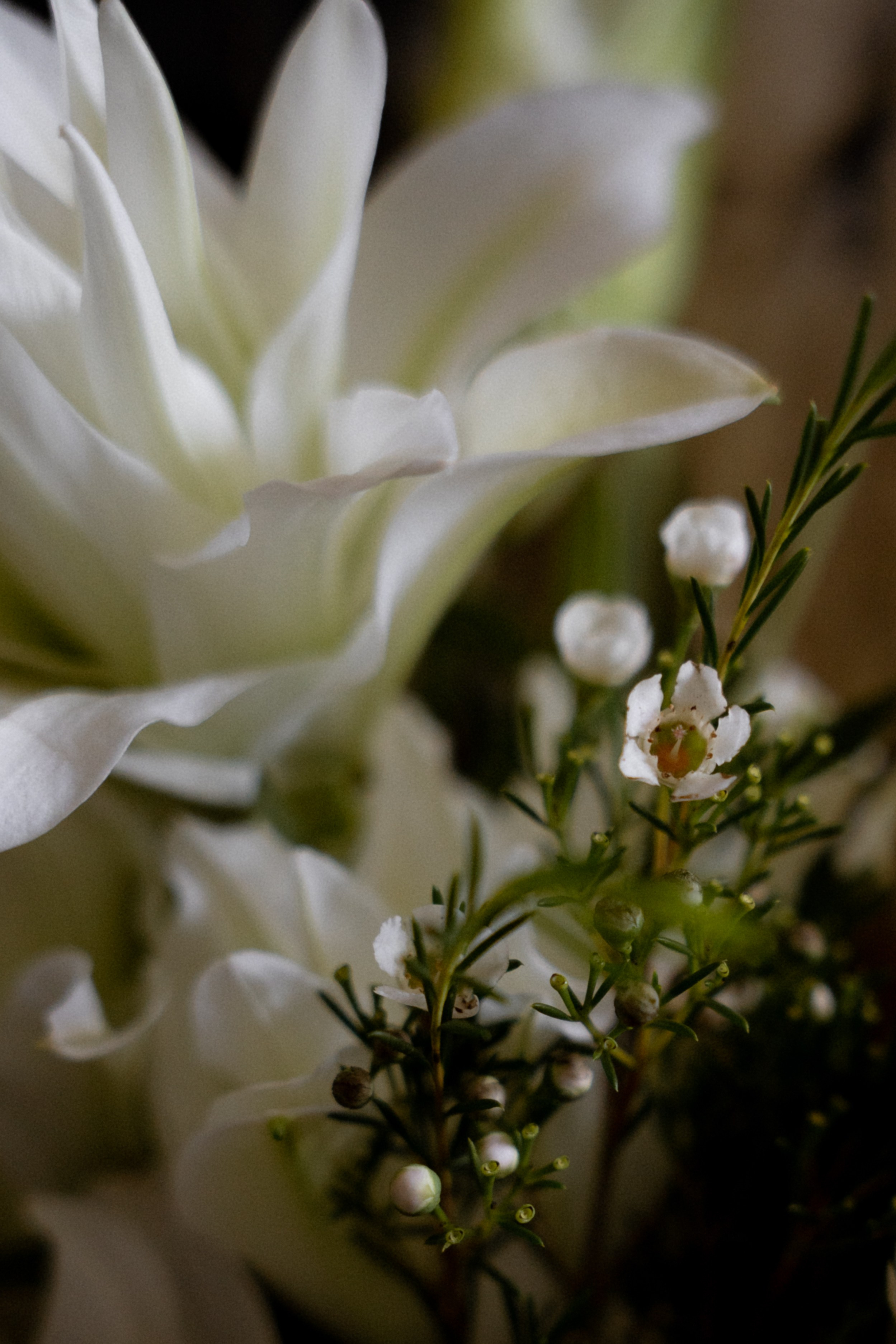 Kate & Vlad. Семейный и портретный фотограф в Саратове Сахарова Маша