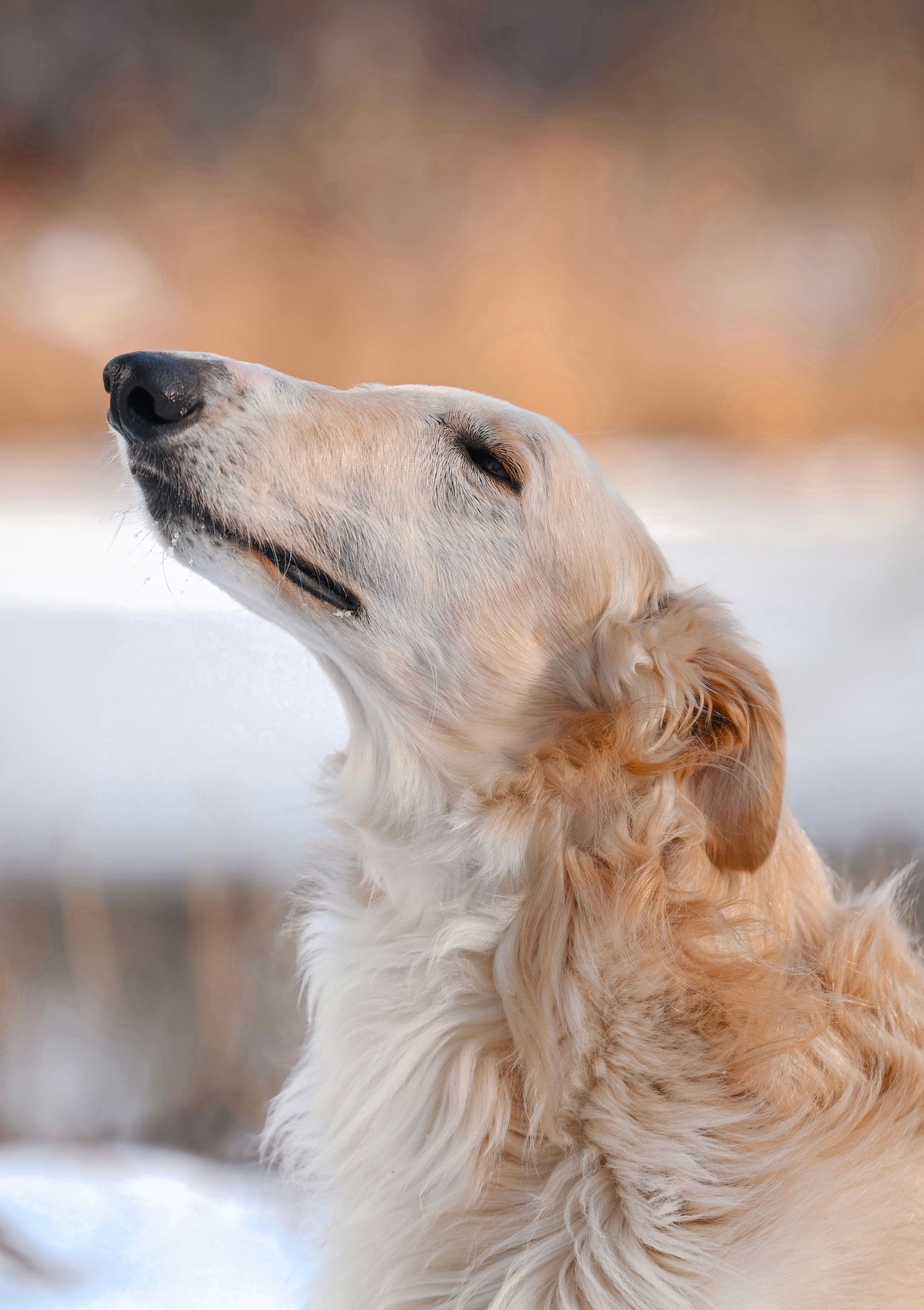 Отзывы. Фотограф Анастасия Ветковская, Москва