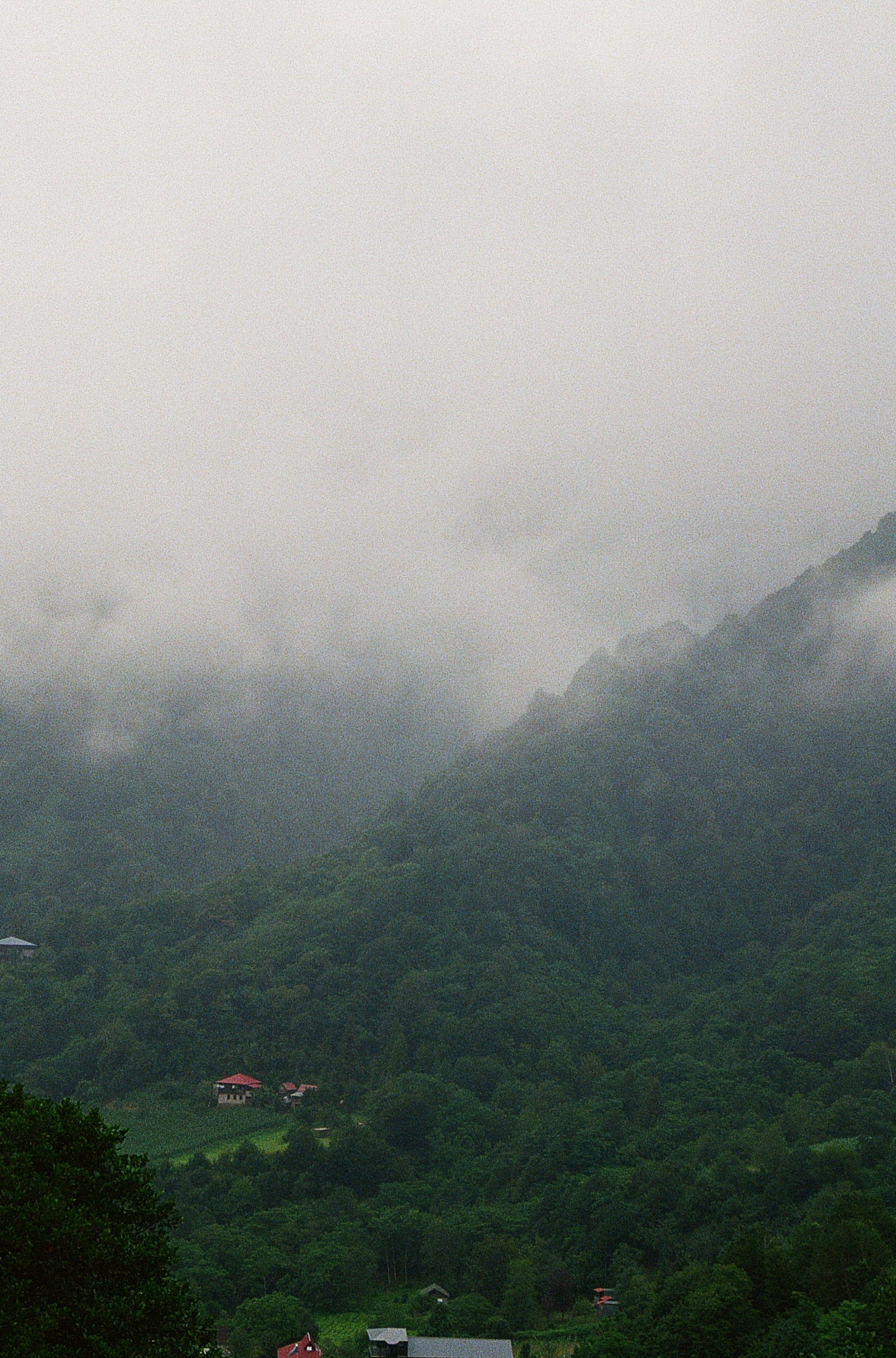 ГРУЗИЯ. ПРИРОДА.25. Профессиональный фотограф Федотова Арина