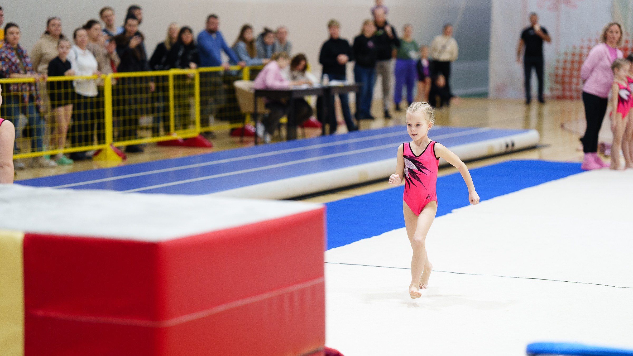 Гимнастика. Фотограф Москва