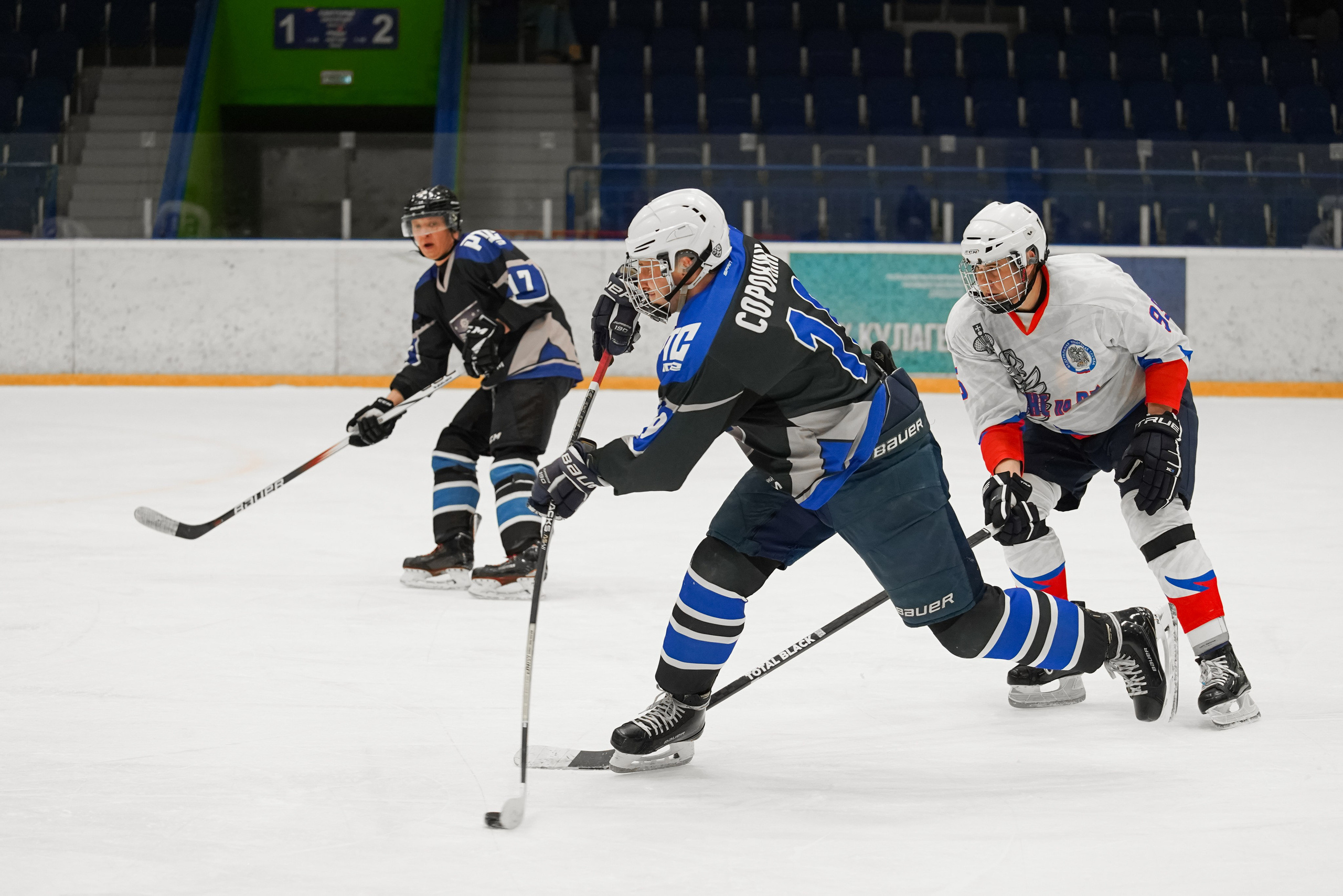 Башкирская хоккейная лига. Маслухин Дмитрий — Ваш Фотограф