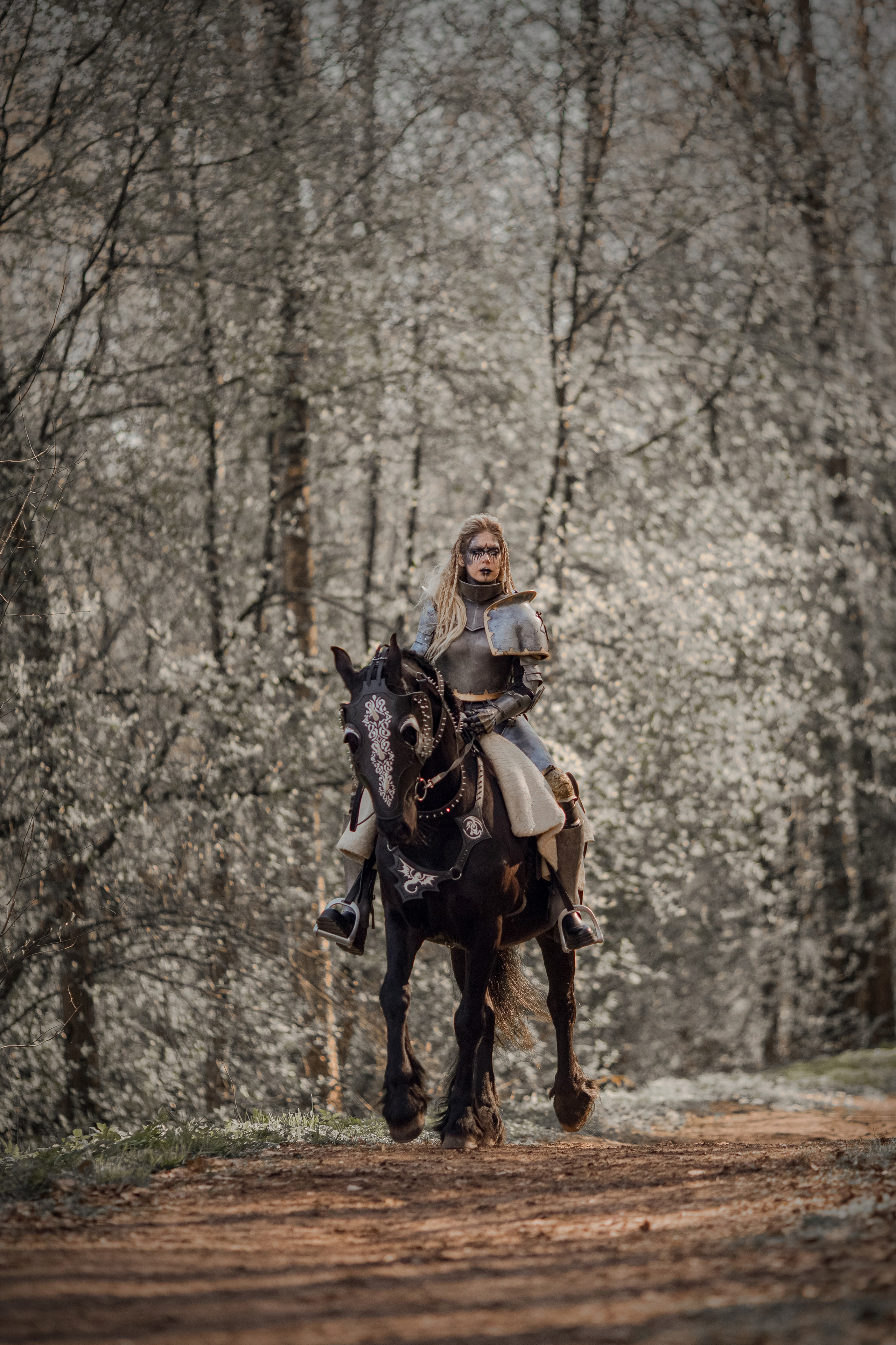 Фотосессия в рыцарских доспехах с лошадью