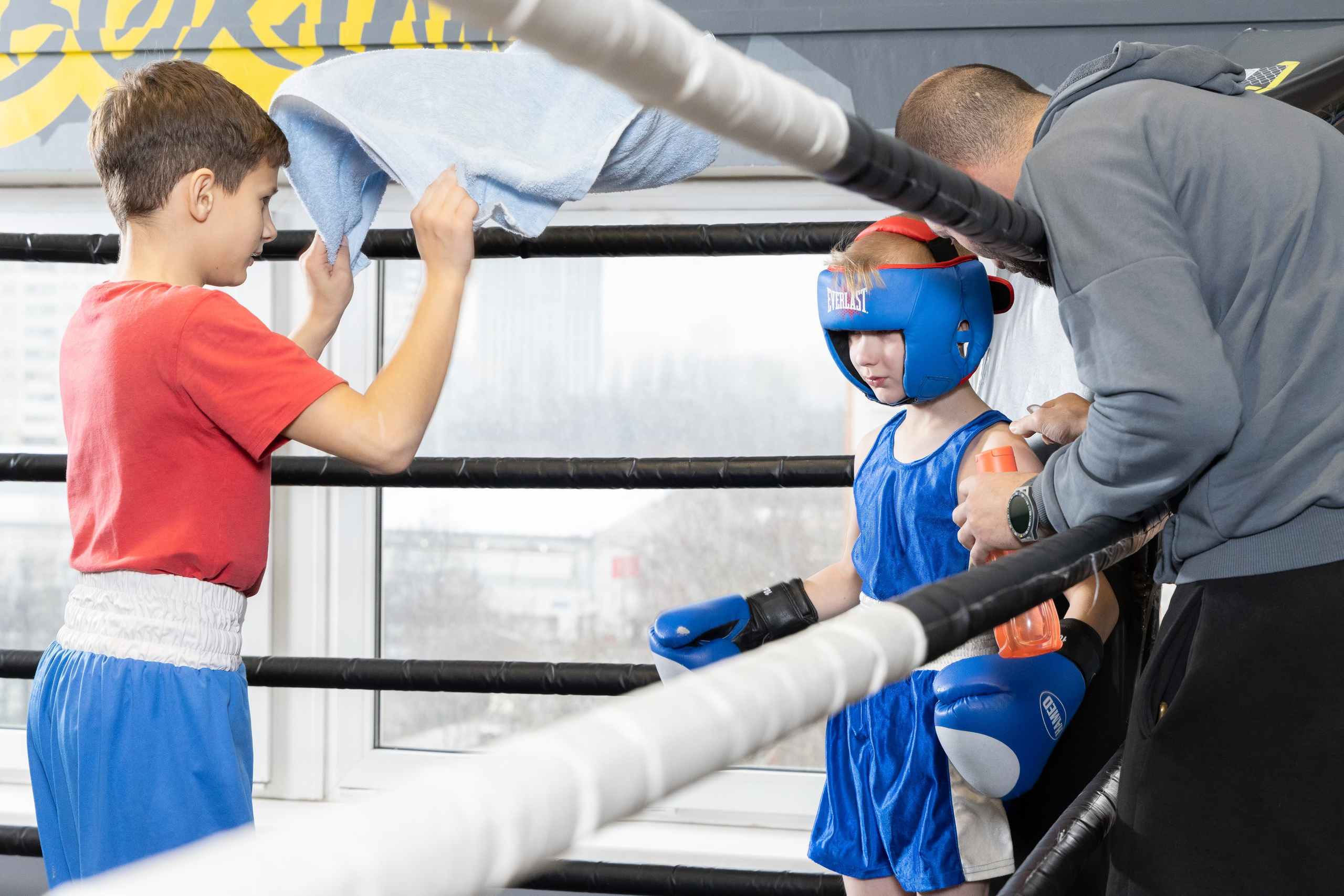 Бокс. Photomantis