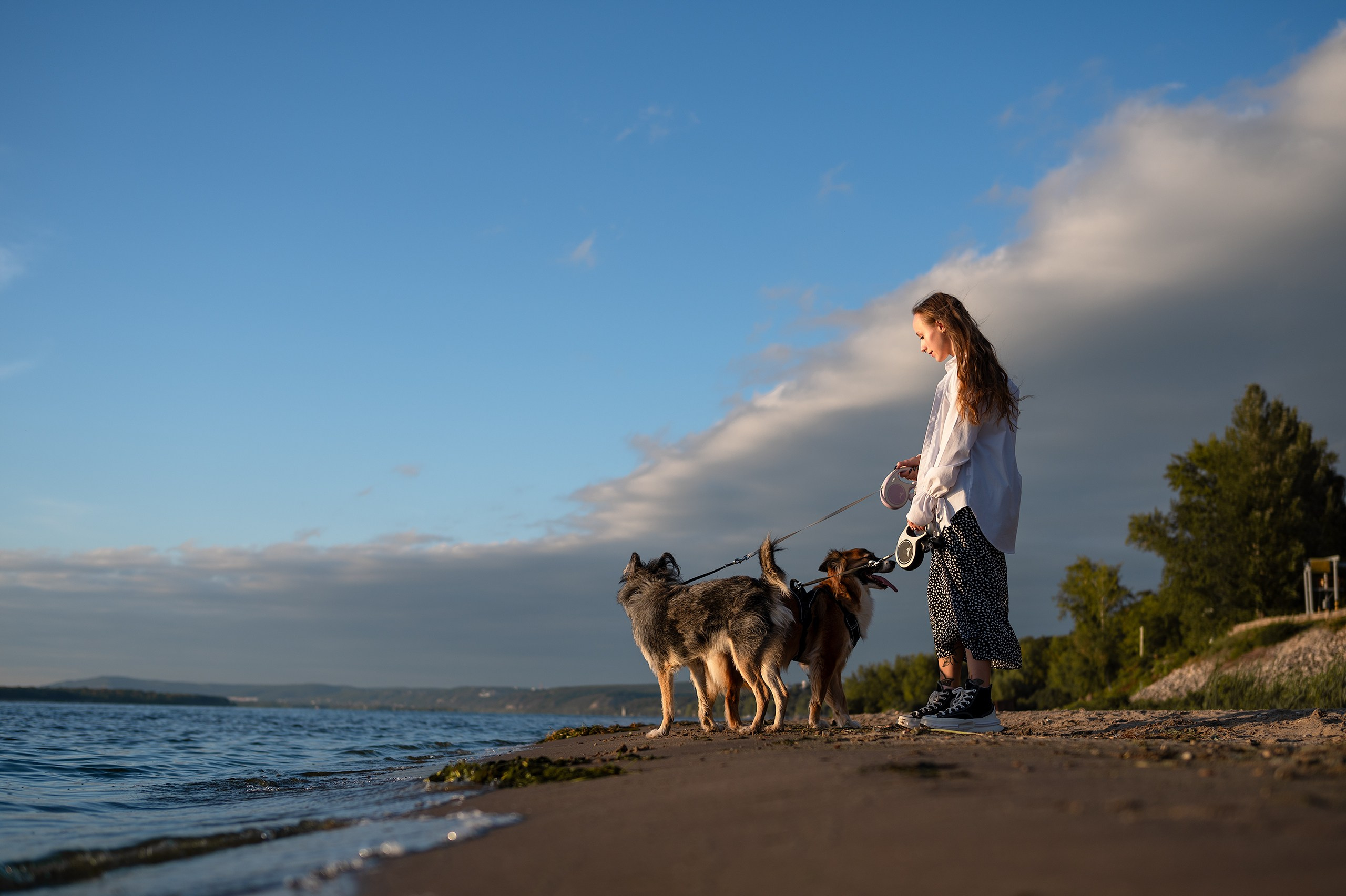 Лиза, Клопа и Хрюша. Главная