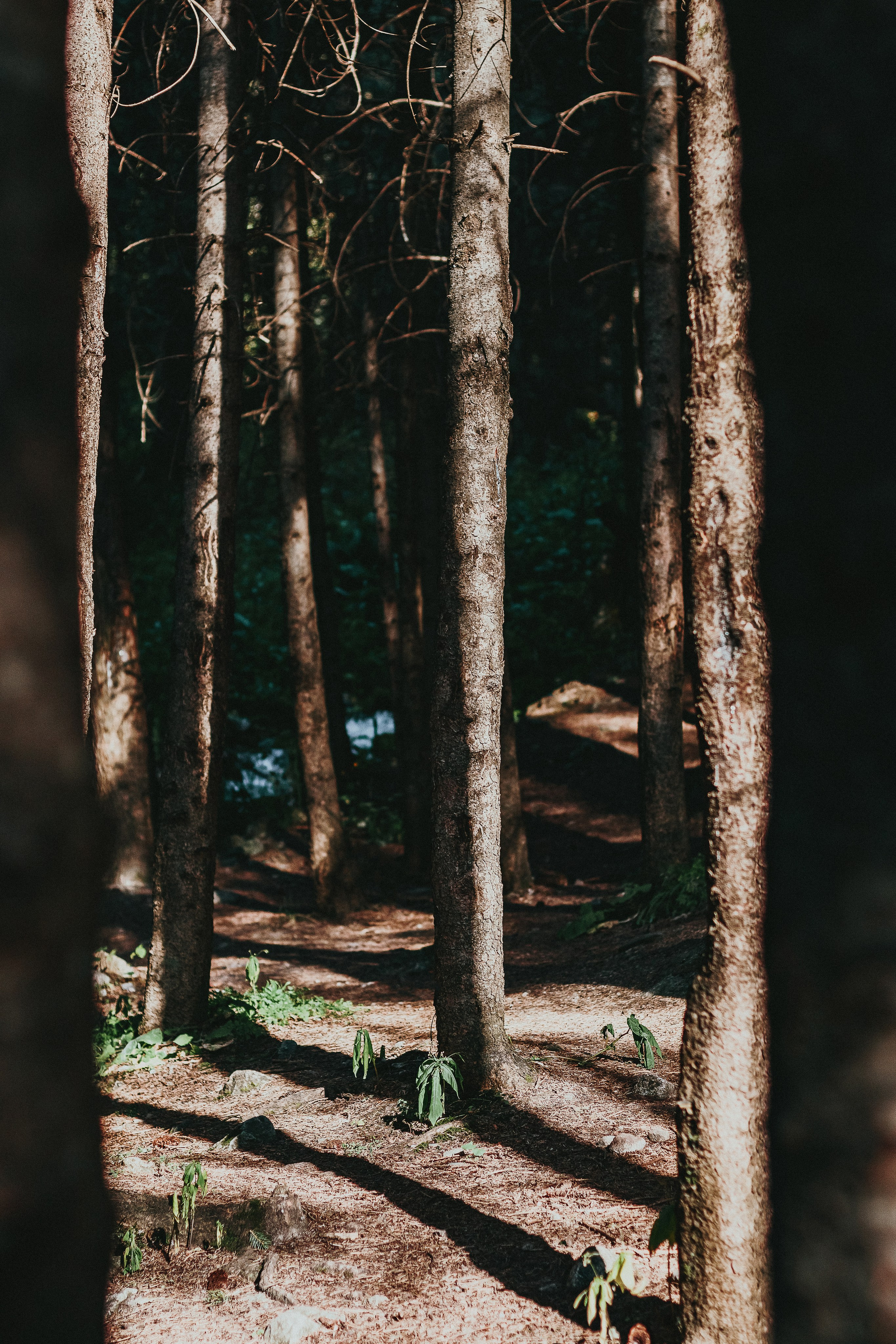 Жизнь. Фотограф Алматы | Весь мир — Никита Колодин