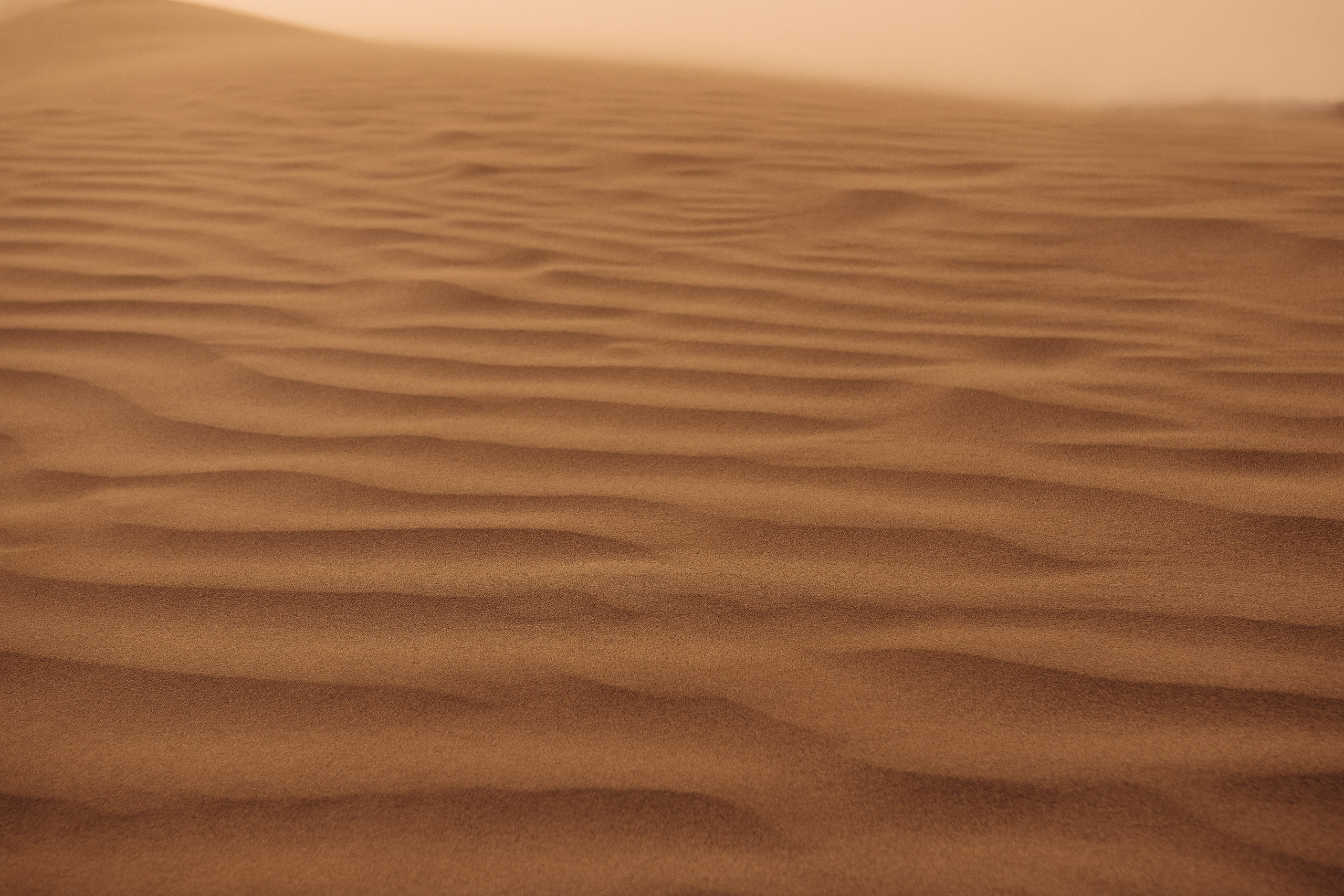 Жизнь. Фотограф Алматы | Весь мир — Никита Колодин