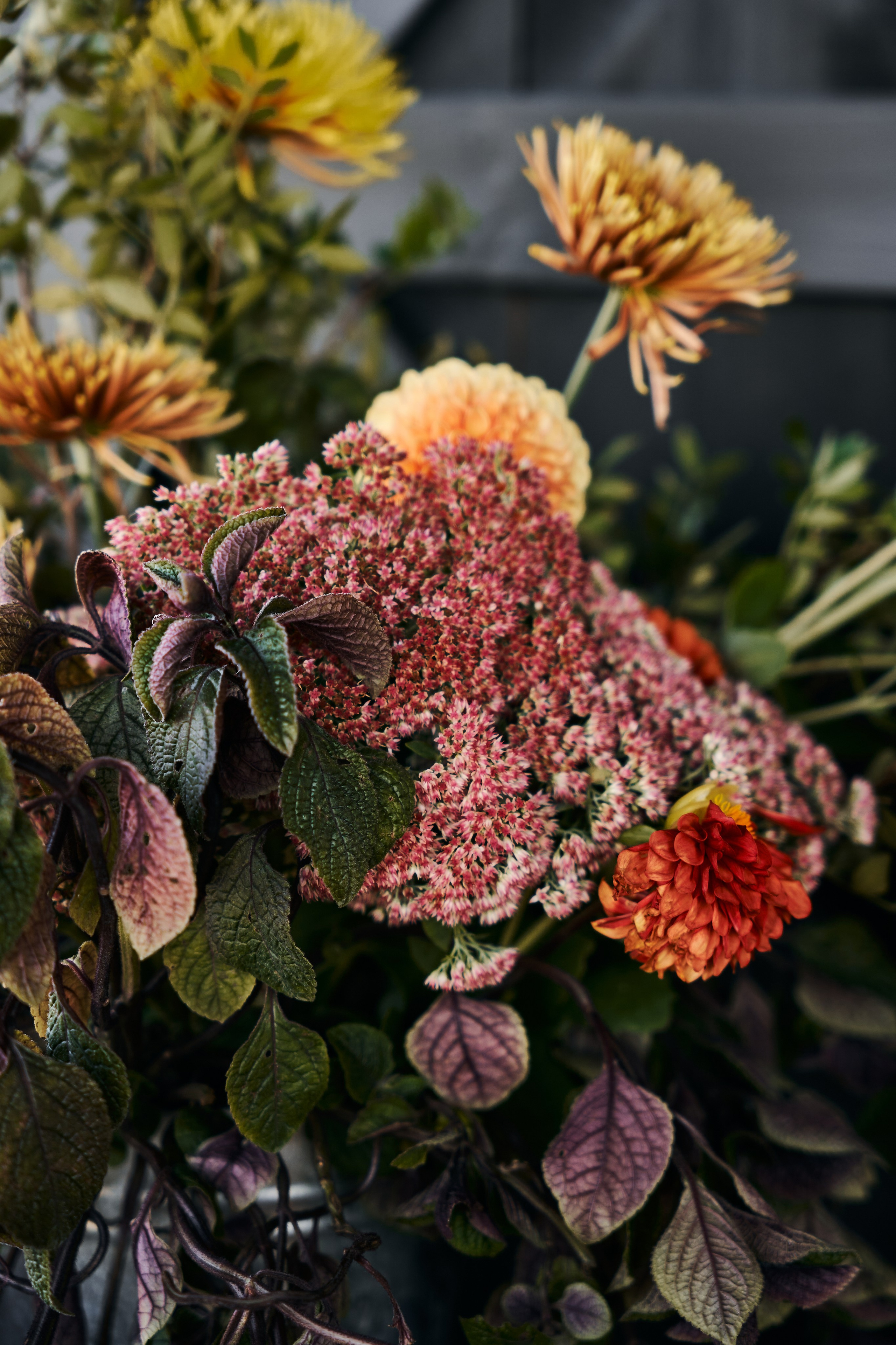 Sexychella. Фотограф в Москве Казакова Анна