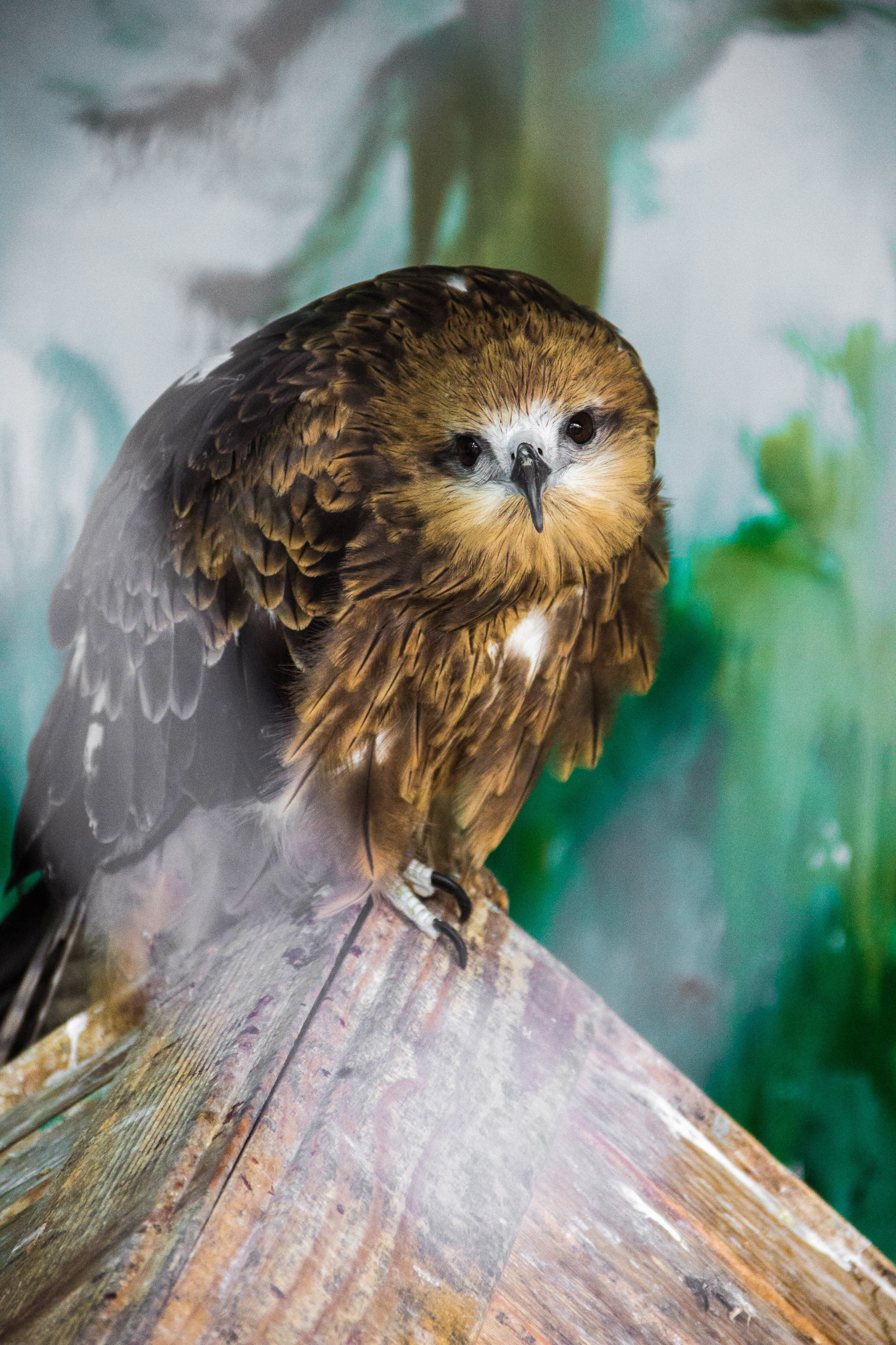 Репортаж. Промышленный, бизнес фотограф Кемеровская область, Шерегеш