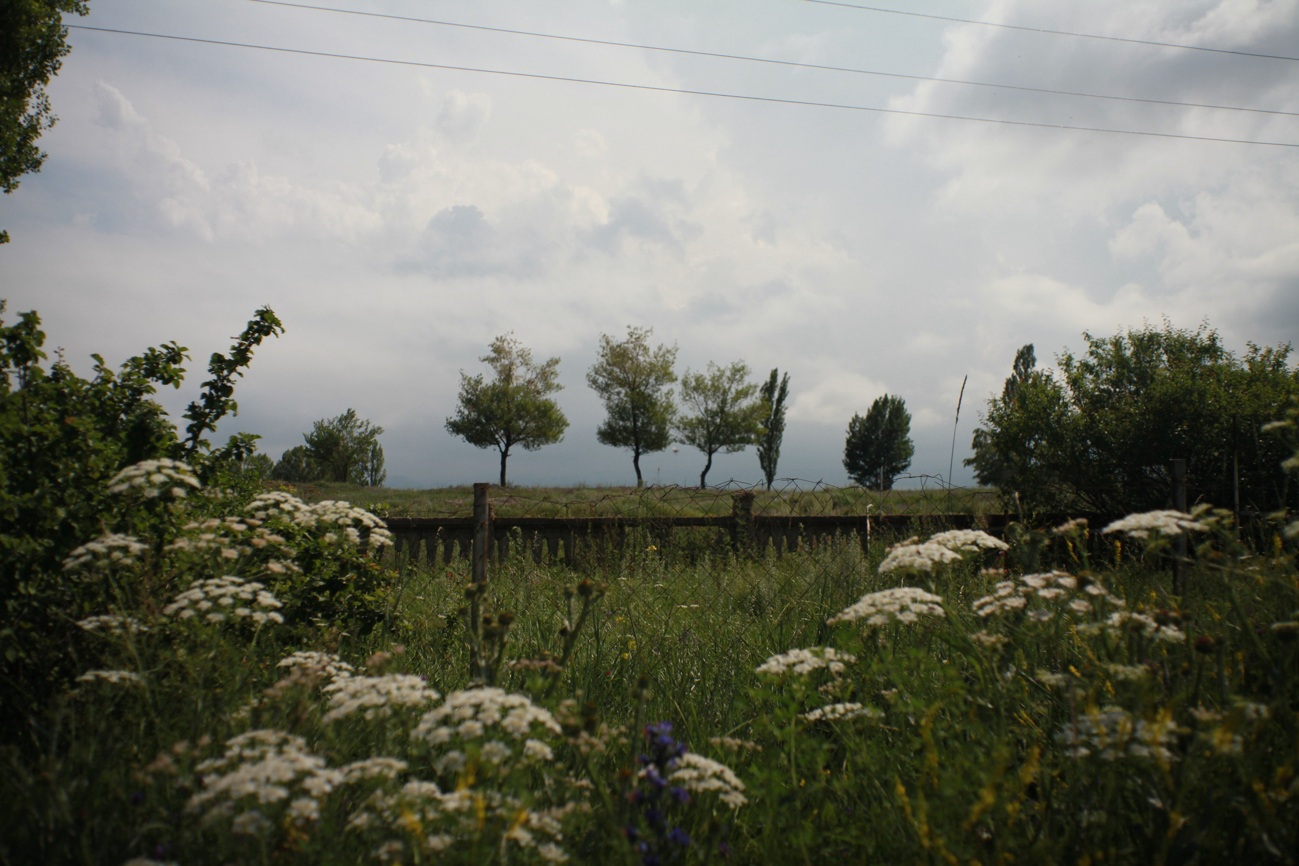 Coolness. Den Mirov — Photographer, Musician