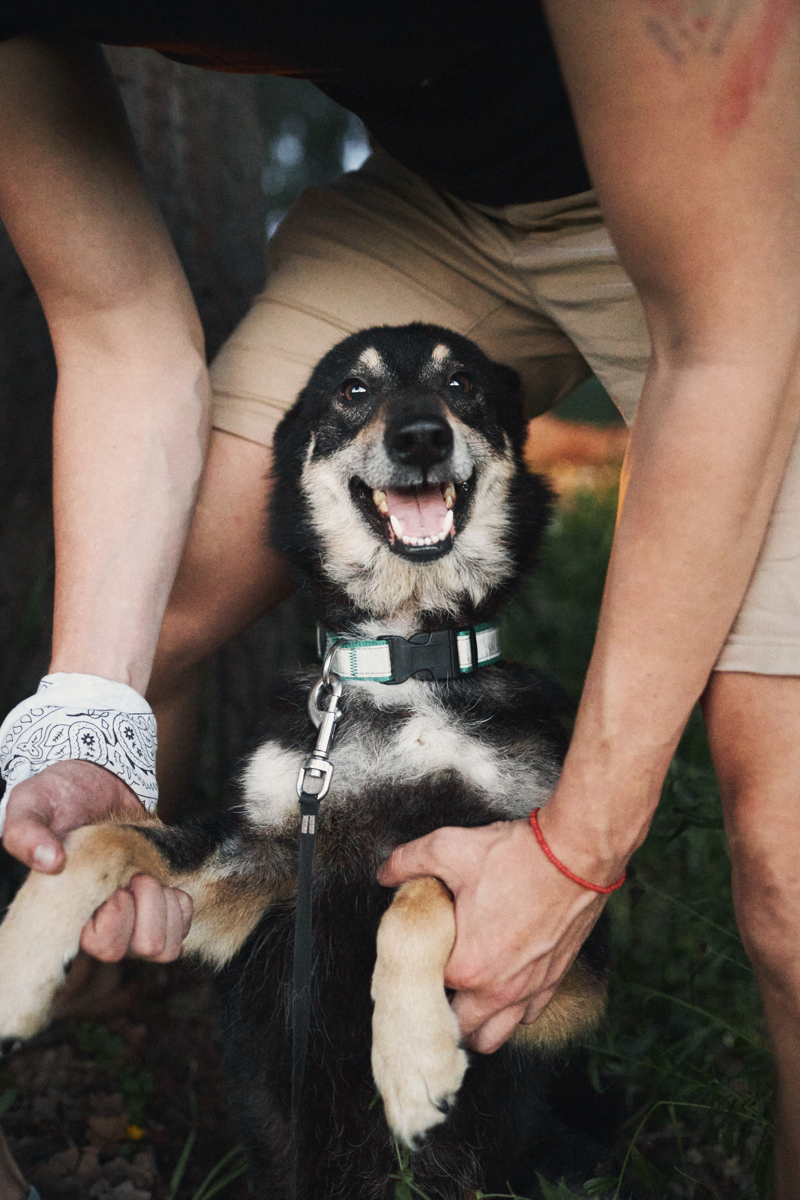 Несс ночует в палатке