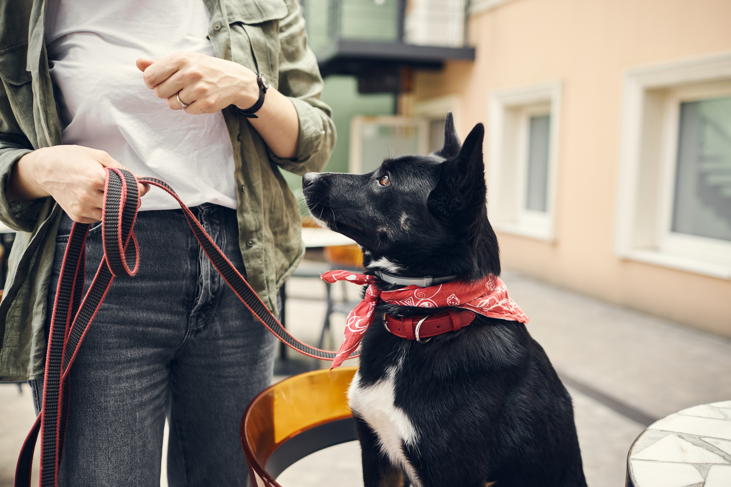 Тера идет в пиццерию