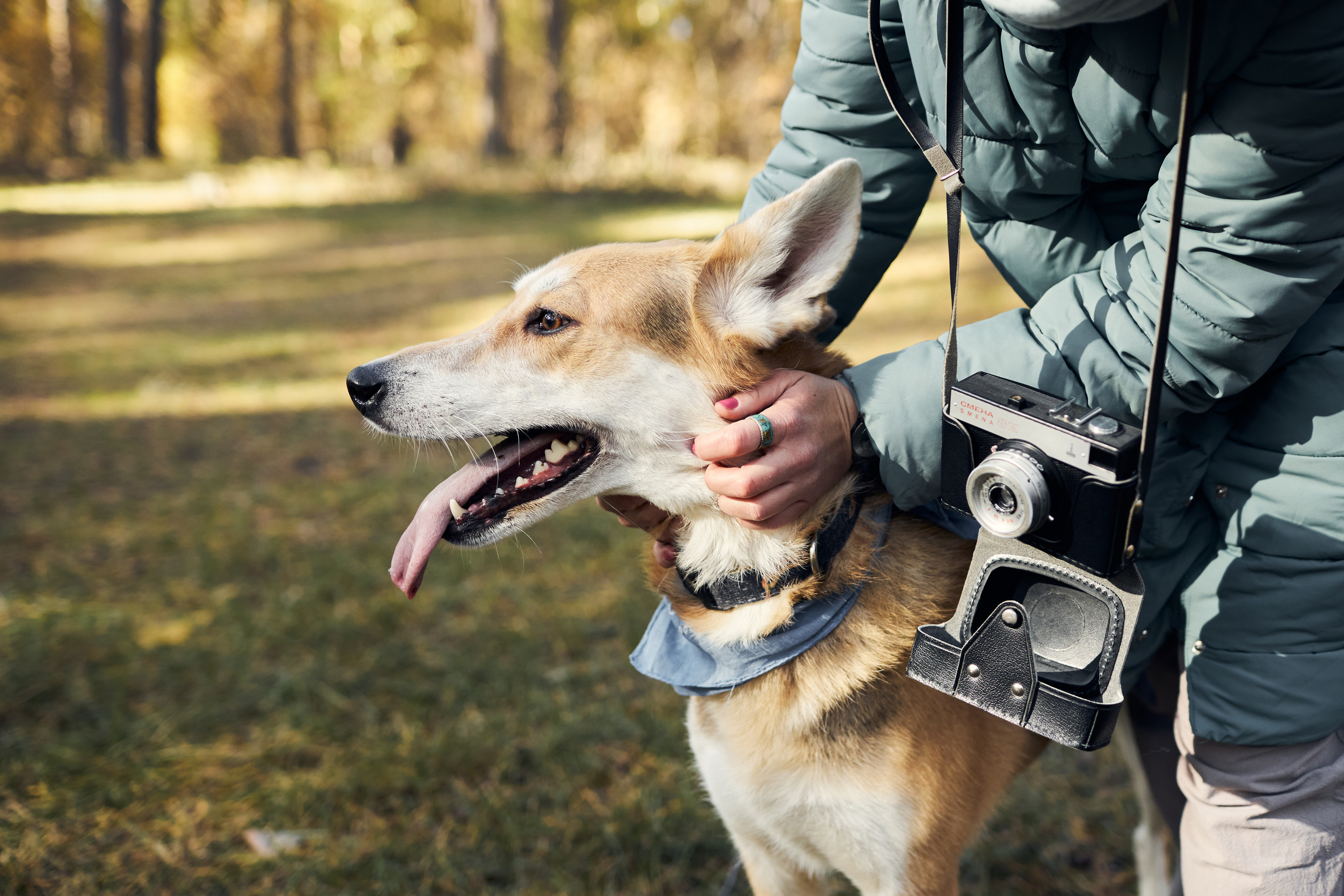 Эми фотографирует