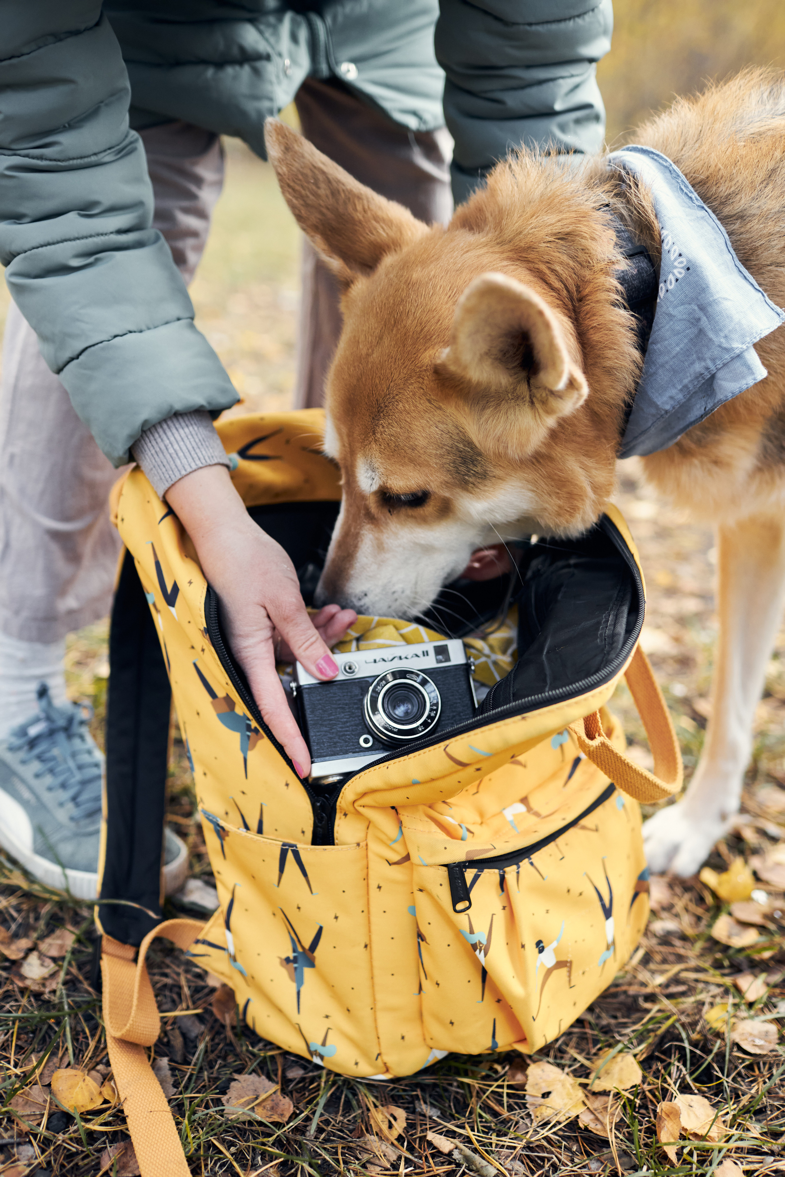 Эми фотографирует