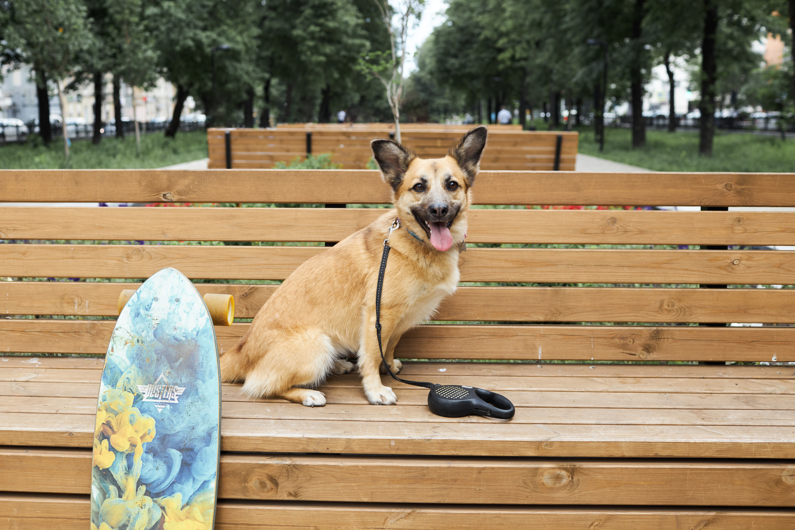 Фиона катается на доске