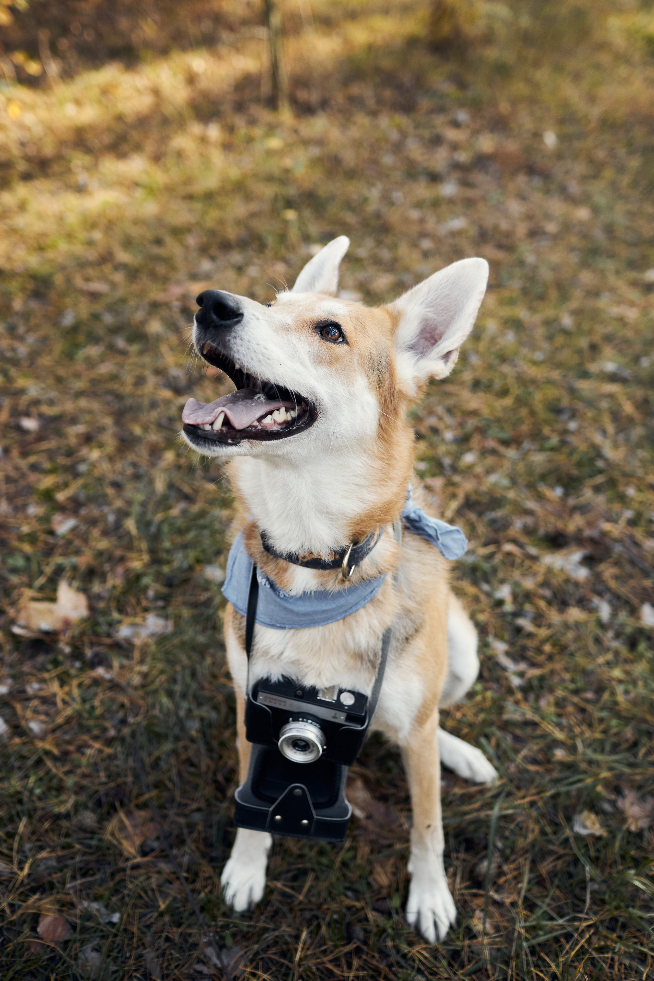 Эми фотографирует