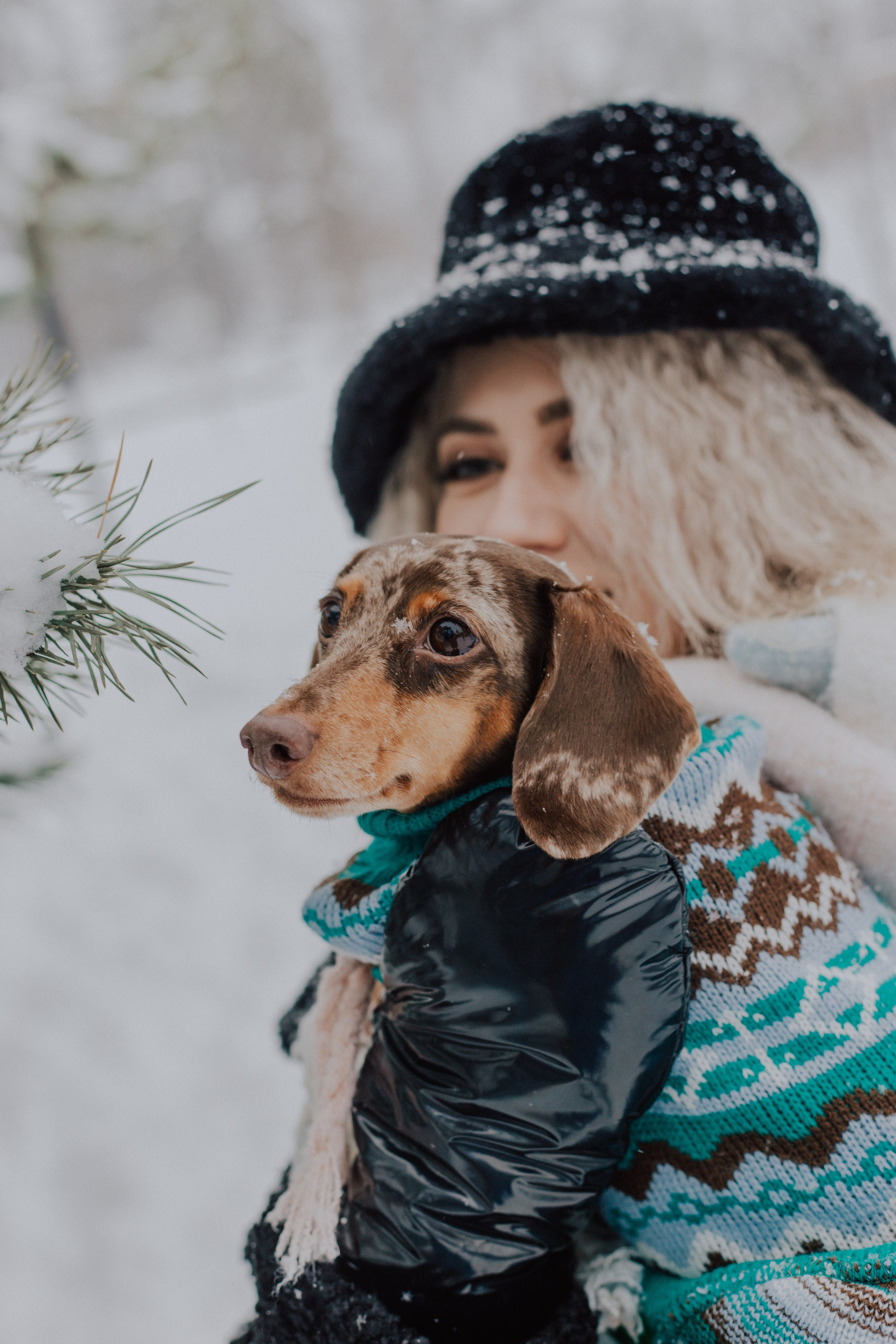 Winter. «A pet». Фотограф Москва / Балашиха