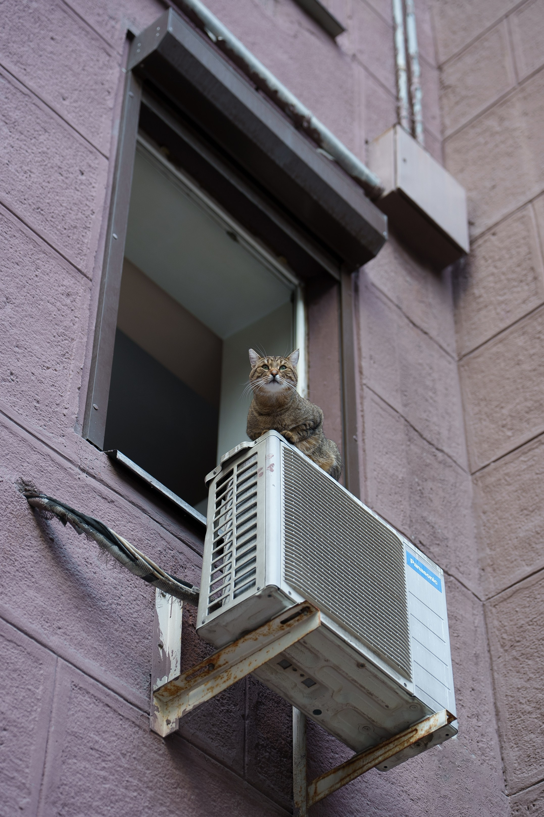 Алена и Владимир. Свадебный фотограф Эрик Геворкян