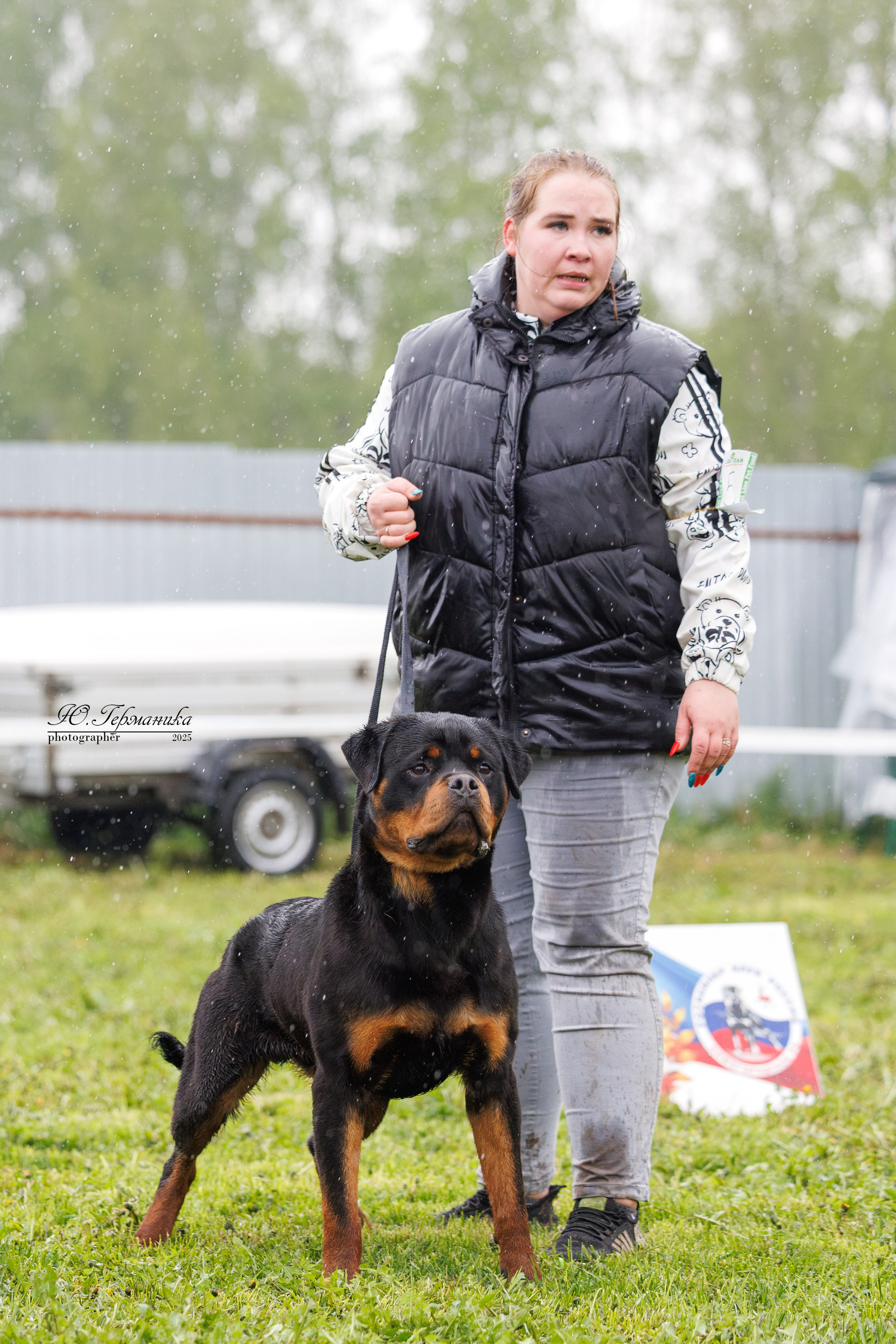 Нижний Новгород 2хмоно ротвейлеров 10-11.05.2025. Фотограф-анималист Юлия Германика
