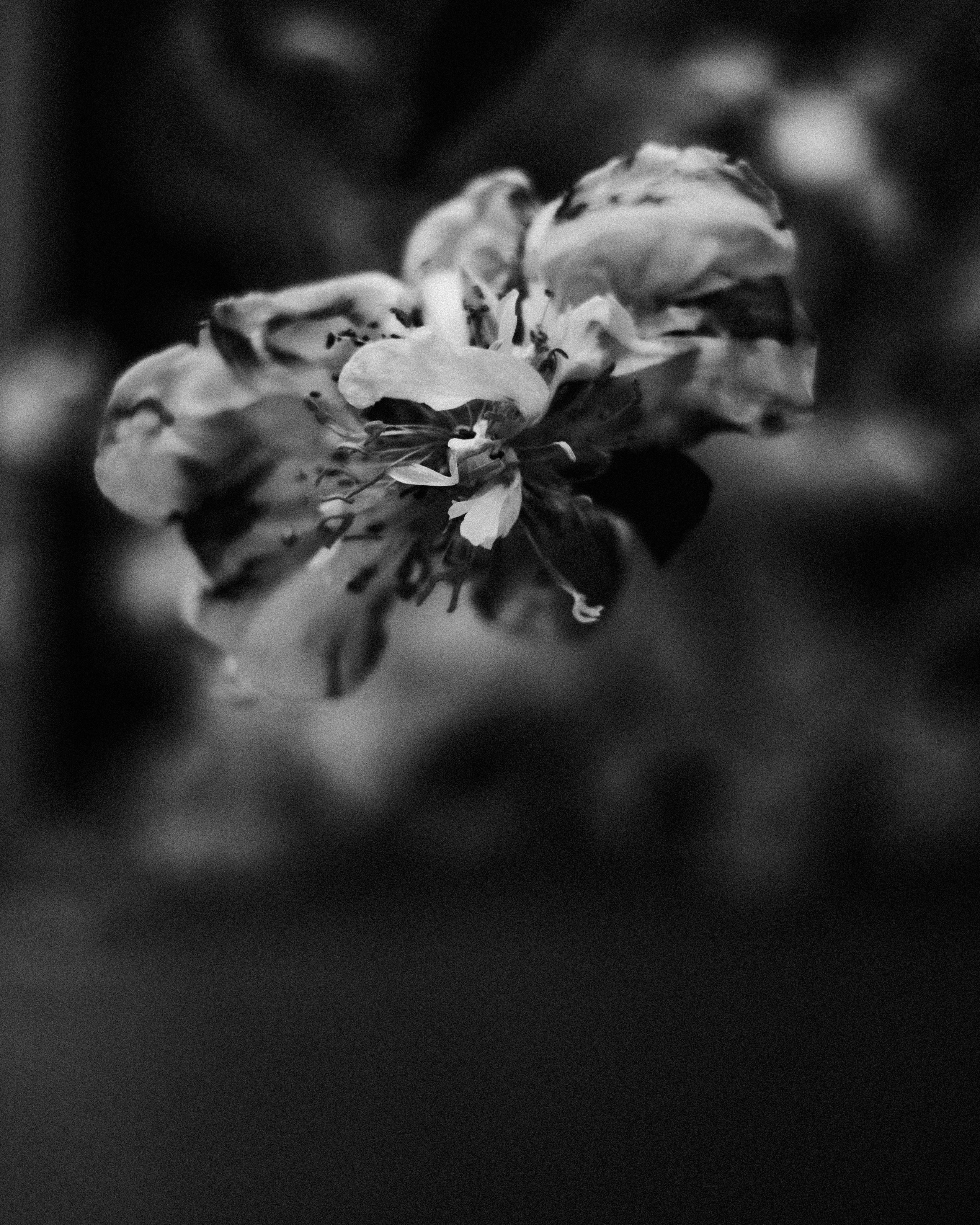 Портретный фотограф Москва