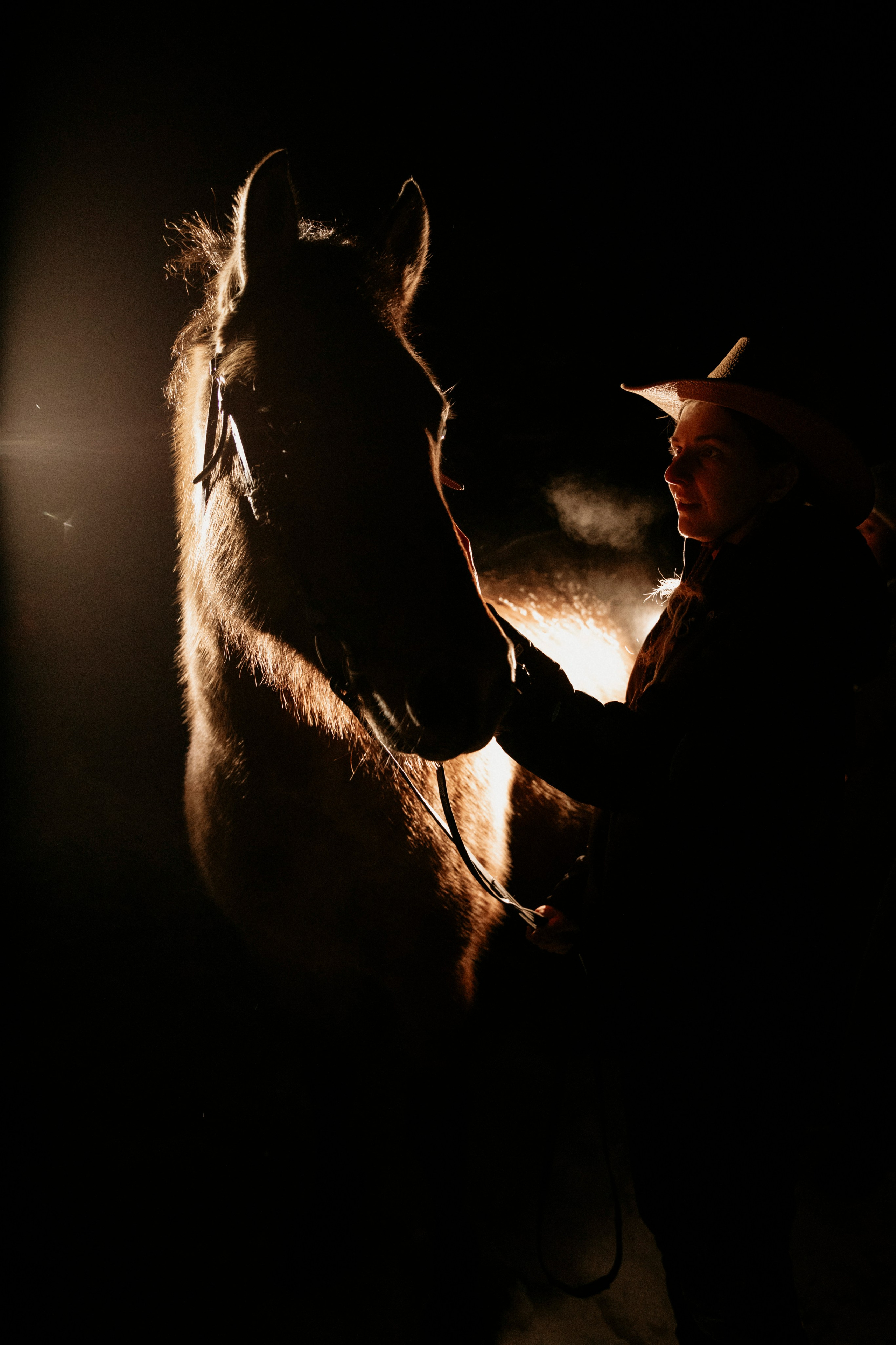 Фотосессии с лошадьми