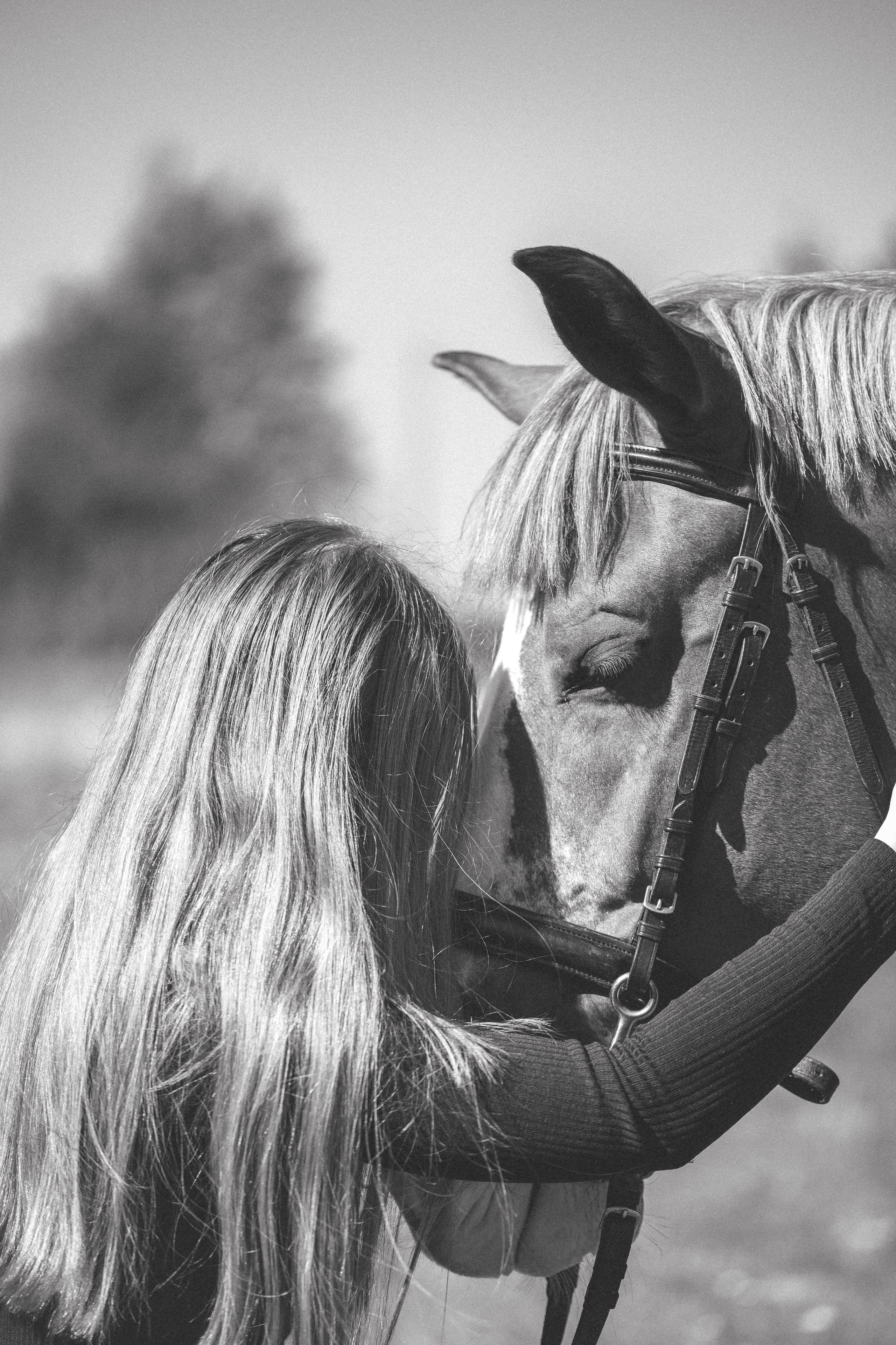 Виктория и Лео. Фотограф Анималист в Москве Анастасия Жучкова