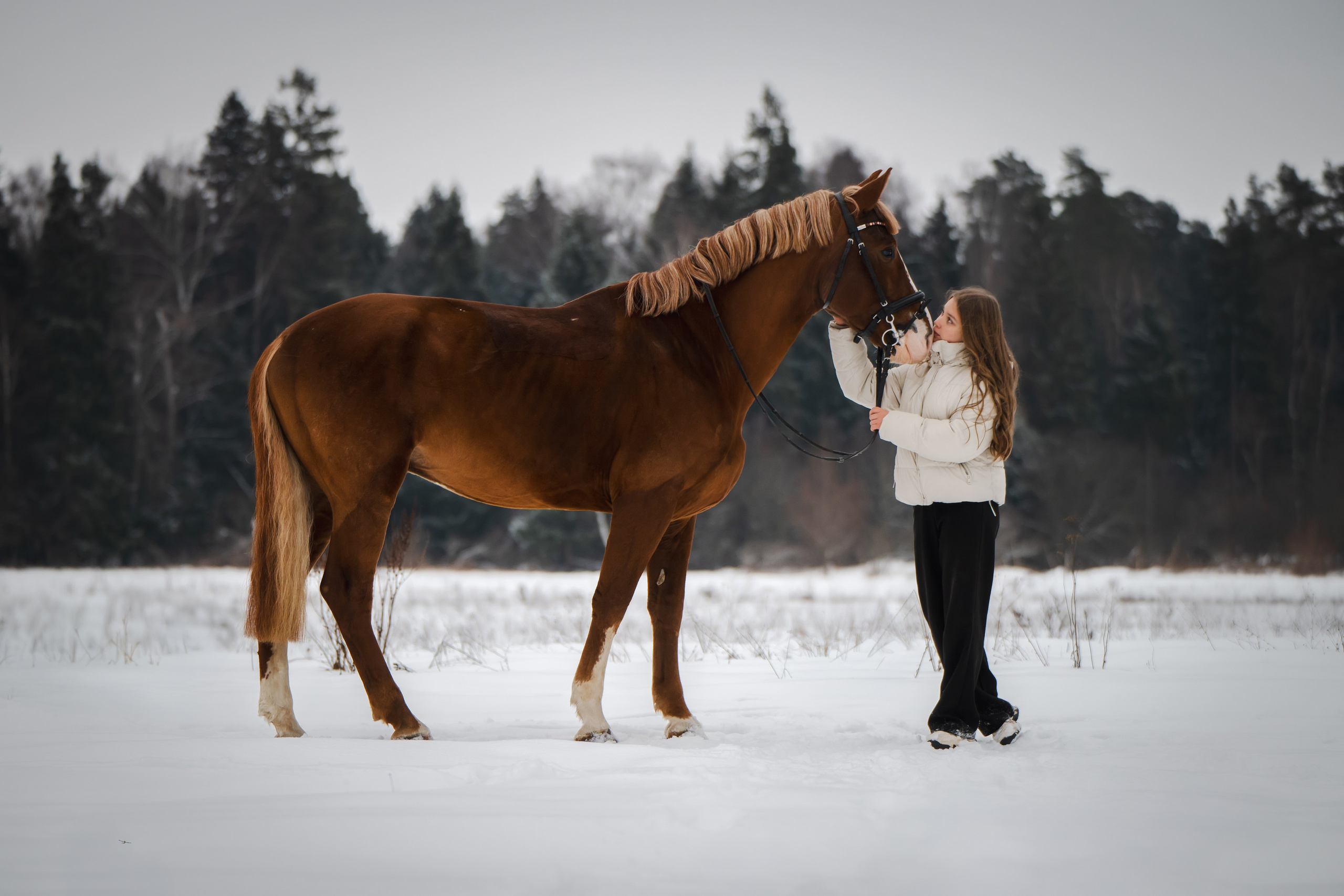 Виктория и Лео. Фотограф Анималист в Москве Анастасия Жучкова