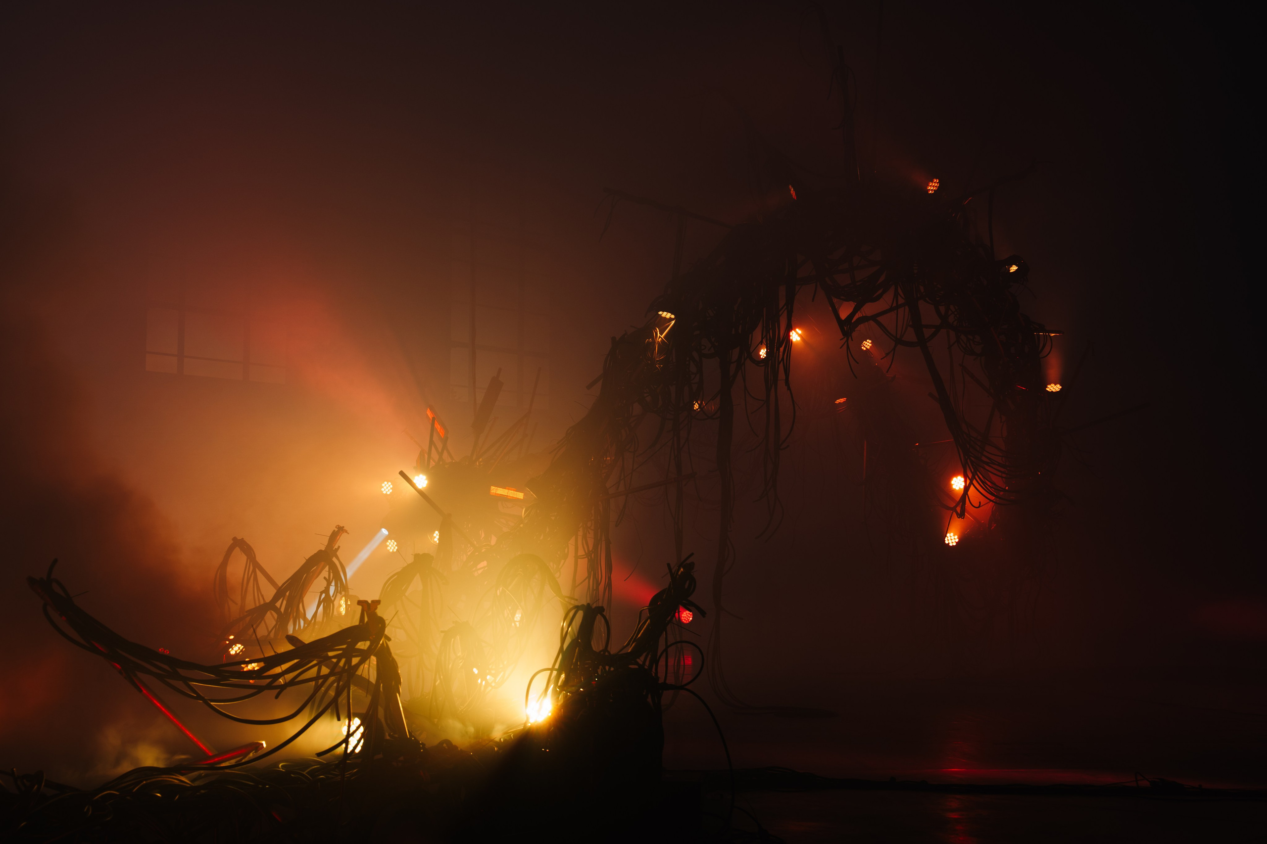 PANTERRA, CHRONOMORPH 001. @tomrus: Рустам Шагиморданов — фотограф