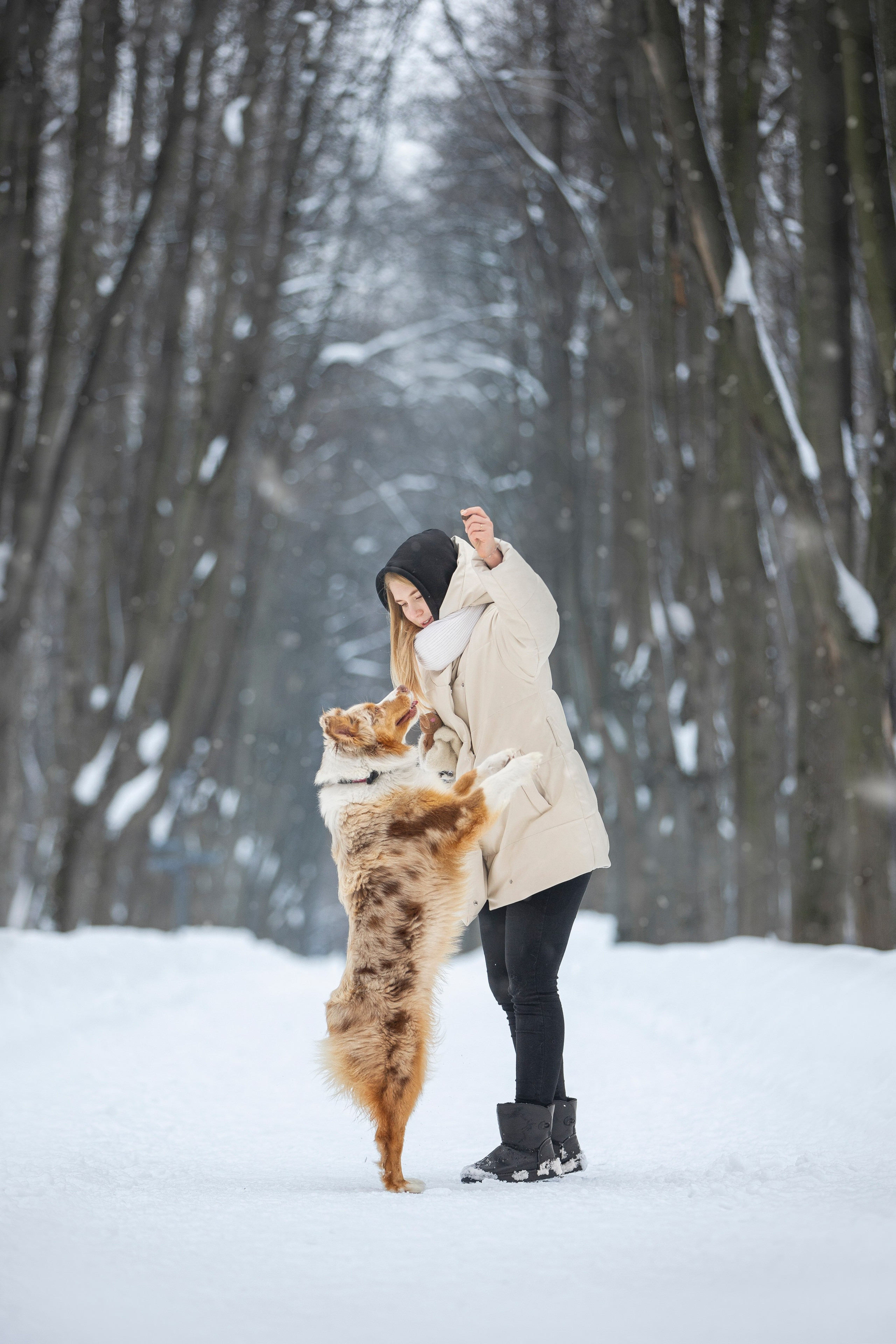 Настя, Игорь, Тесс и Марс. Фотограф анималист в Москве Майорова Евгения