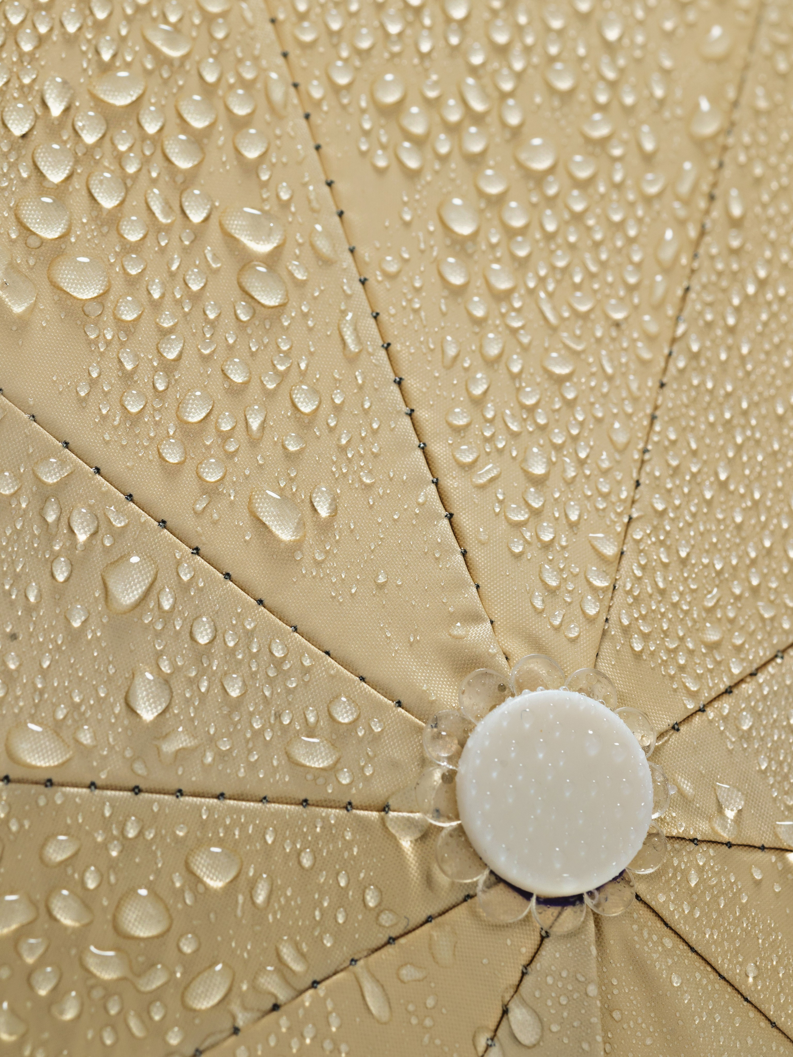 Зонт. Фотограф в Ростове-на-Дону Мария Аверина