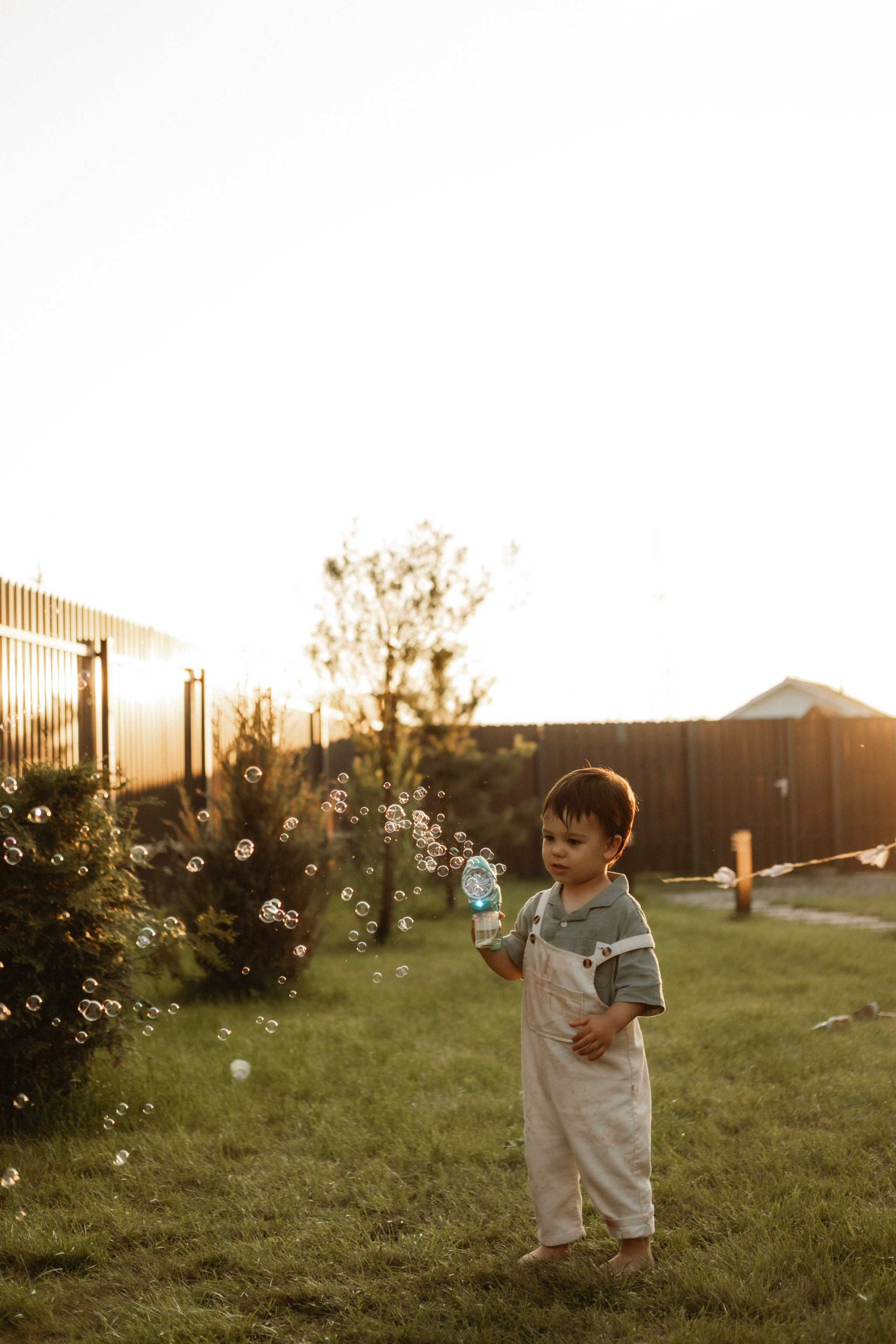 Летний вечер. Главная