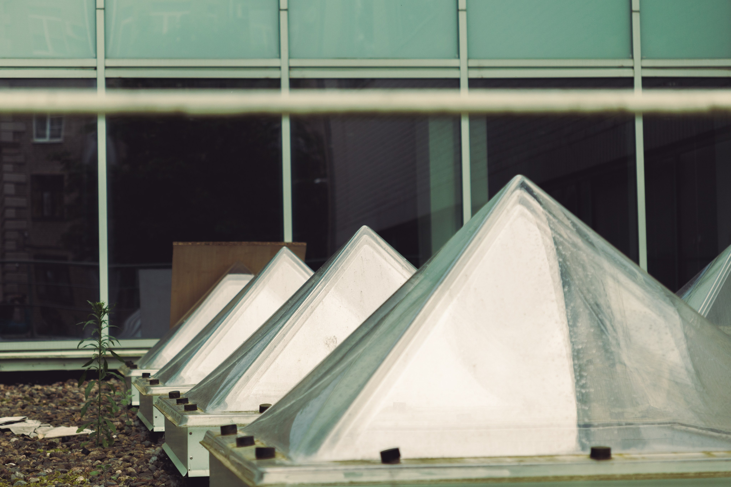 Уличная фотография. Репортажный фотограф в СПб