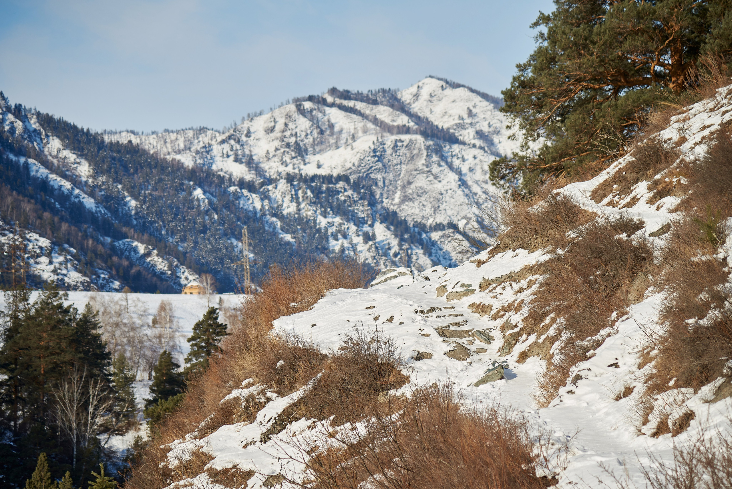 Студенческий тур Манжерок — Чемал. Фотограф Опыт Качество Скорость Горный Алтай Барнаул
