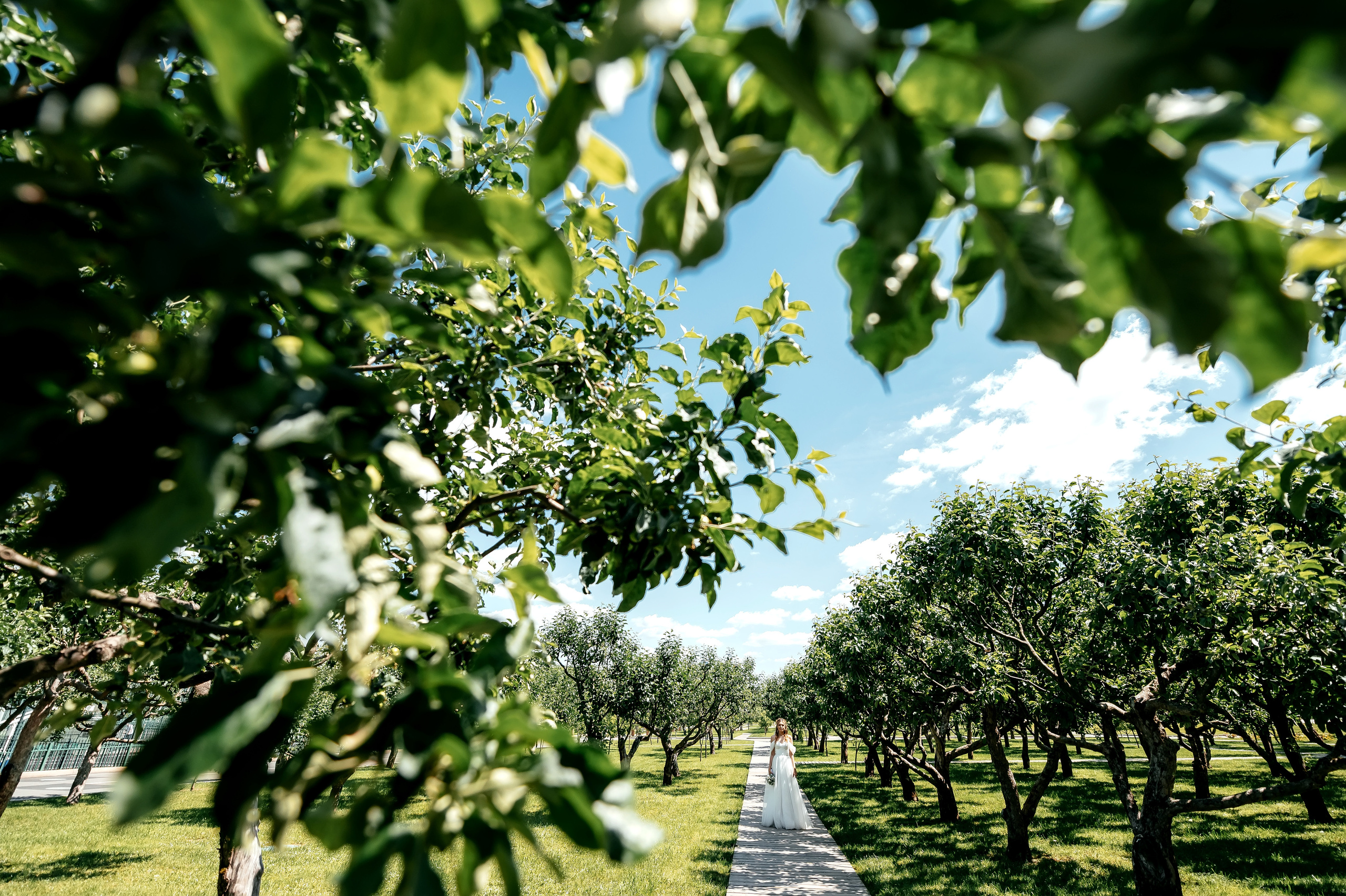 Оксана + Евгений, ЗАГС Кремль Измайлово, ВДНХ. Свадебный и семейный фотограф Виктория Носачёва. Щелково, Москва и МО