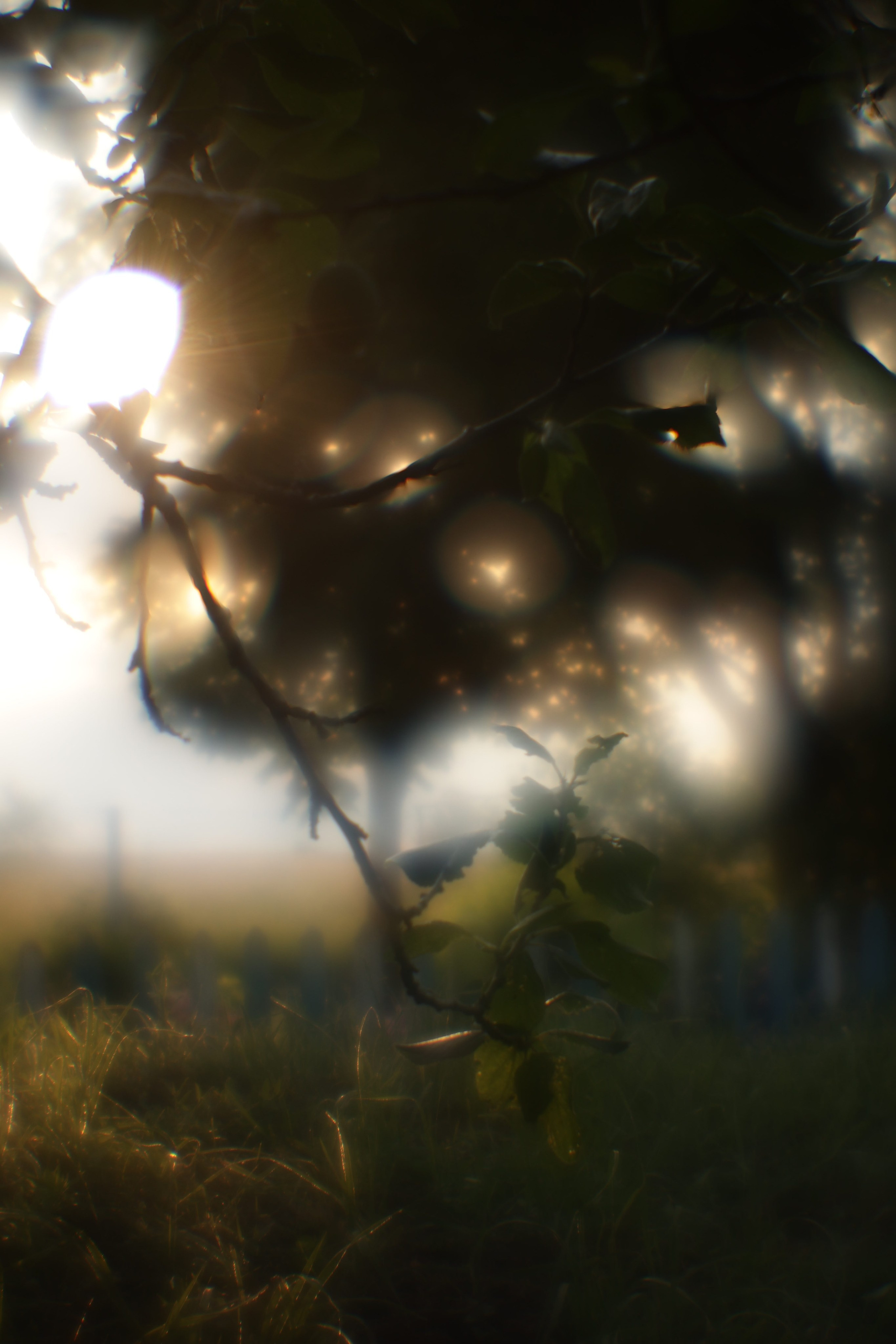 Пикториальный альбом. Семейный LIFESTYLE фотограф в Москве