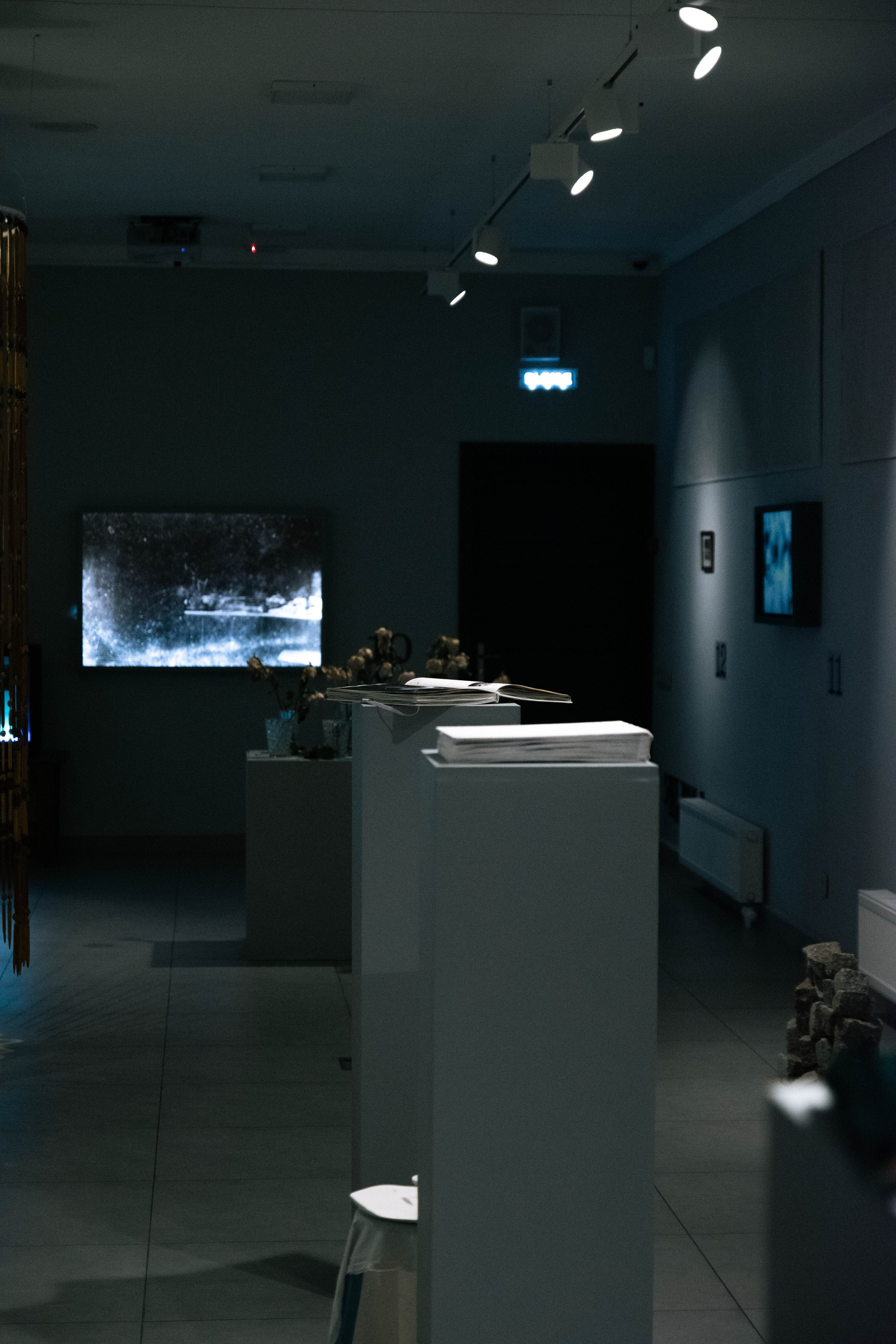 Пределы Видимости. Лаборатория по работе с архивной фотографией. Художественная группа «Нежные Бабы»