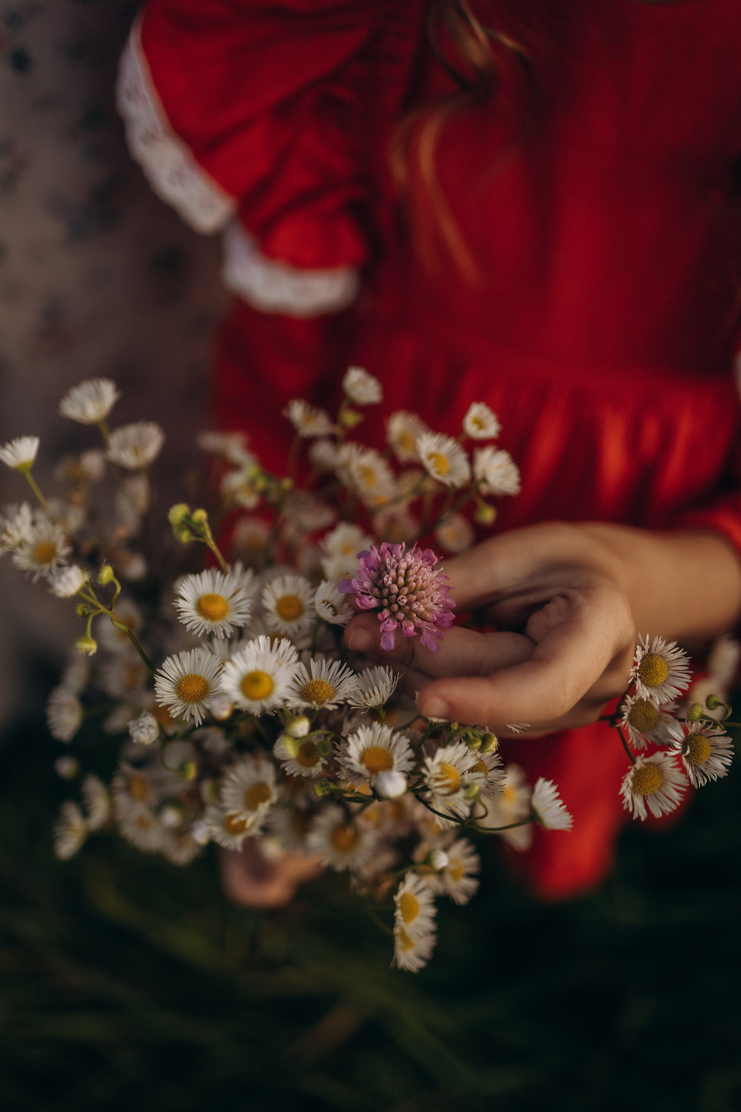 Семейная фотосессия (15.09.2025 г.) г. Жуков (Калужская обл.). Надежда Стар семейный и церковный фотограф в Жукове и Калужской области